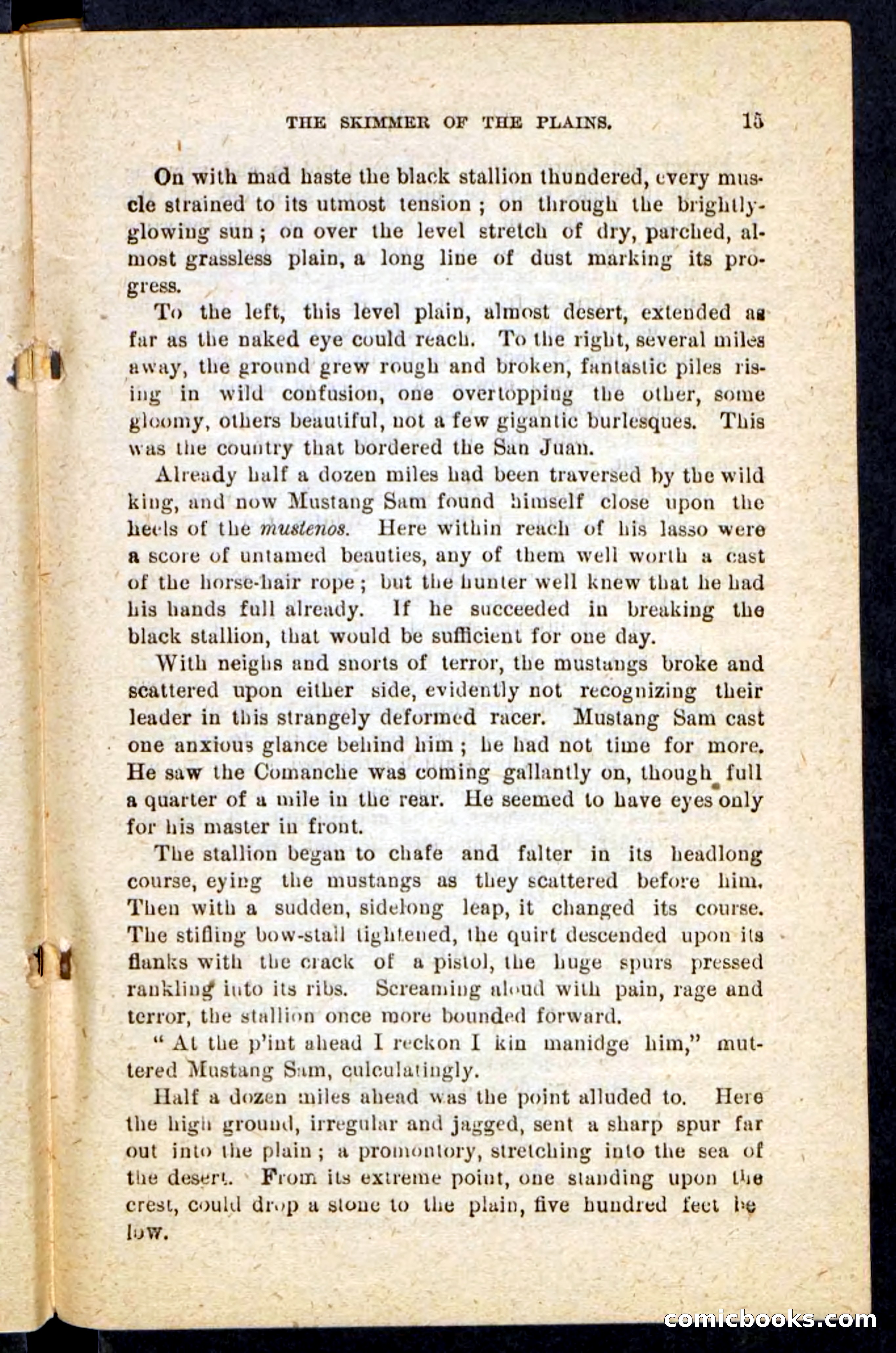 Beadle's Pocket Novels No. 184: Mustang Sam — page 11 of 100