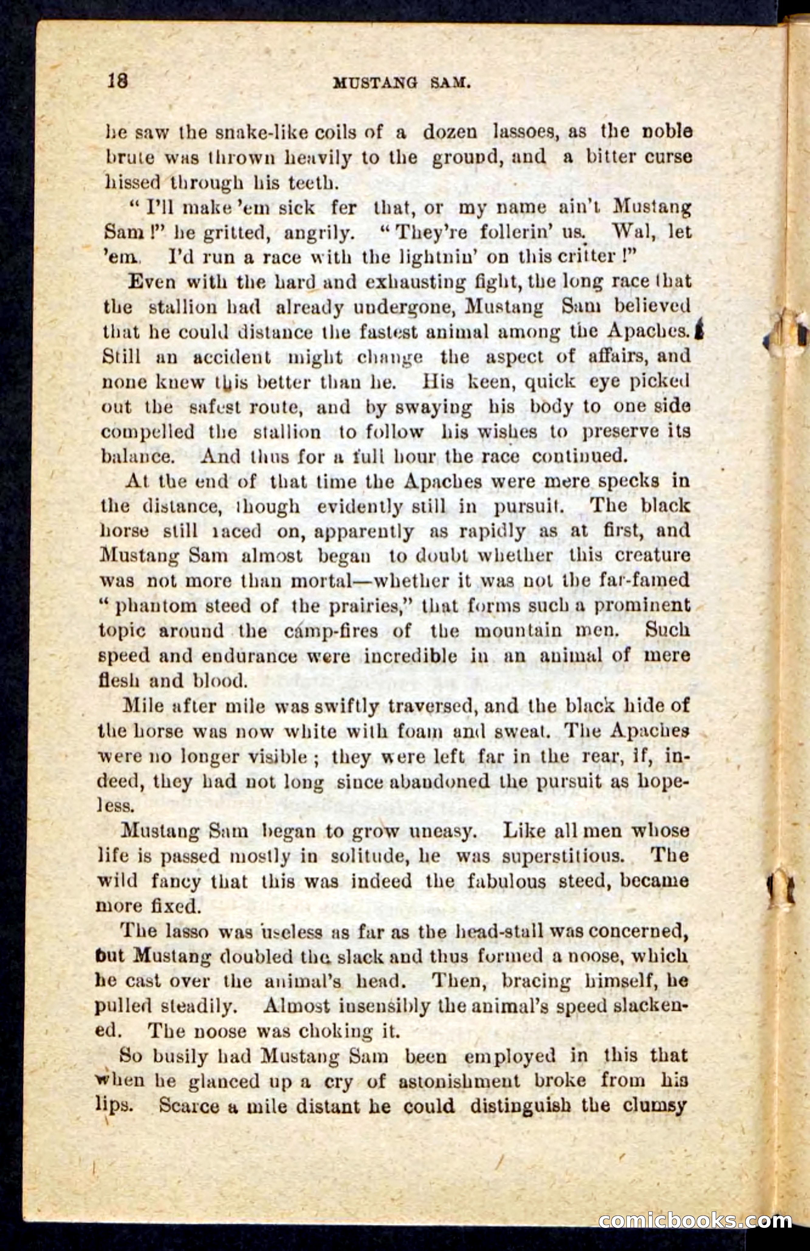 Beadle's Pocket Novels No. 184: Mustang Sam — page 14 of 100