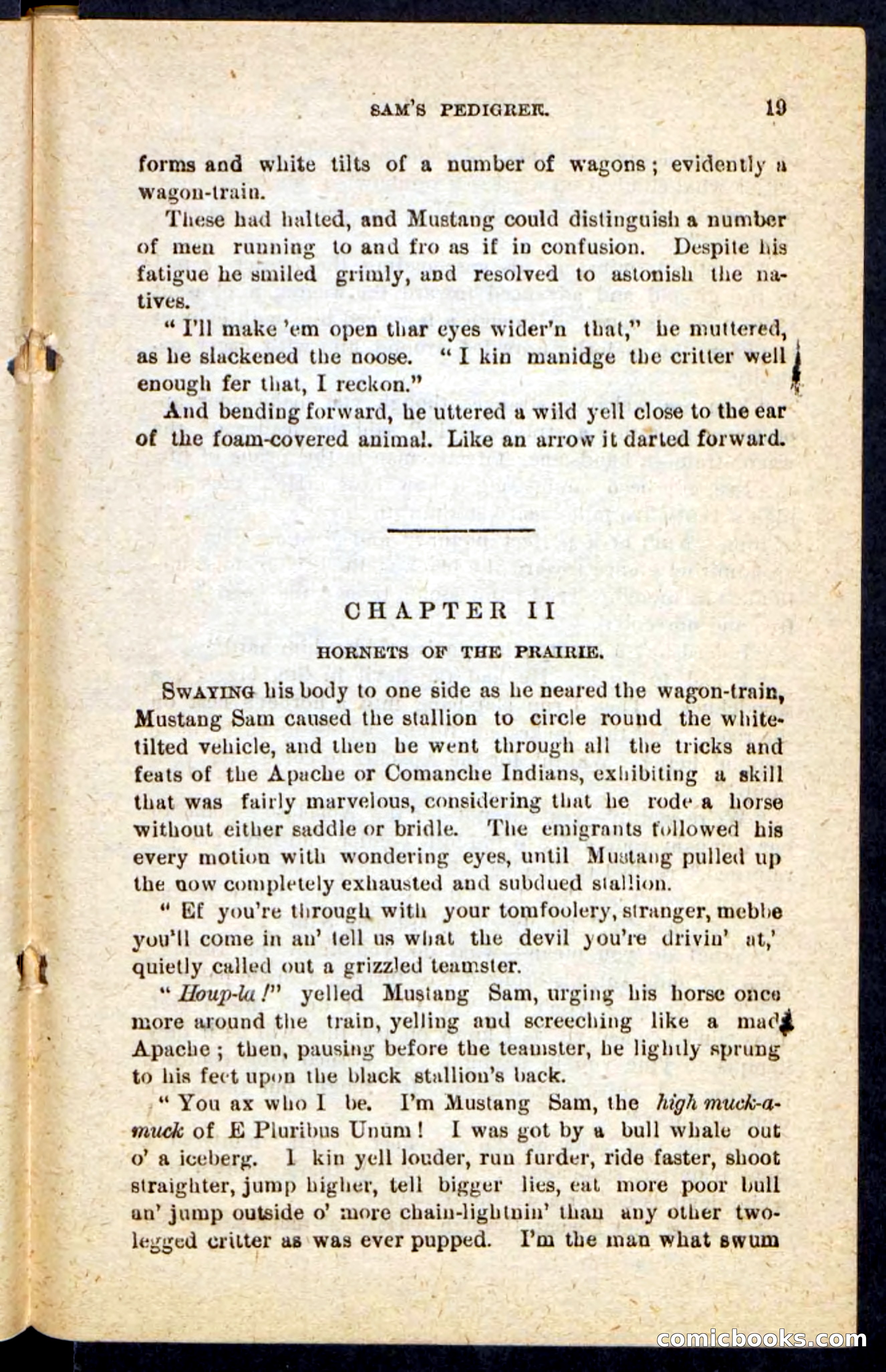 Beadle's Pocket Novels No. 184: Mustang Sam — page 15 of 100