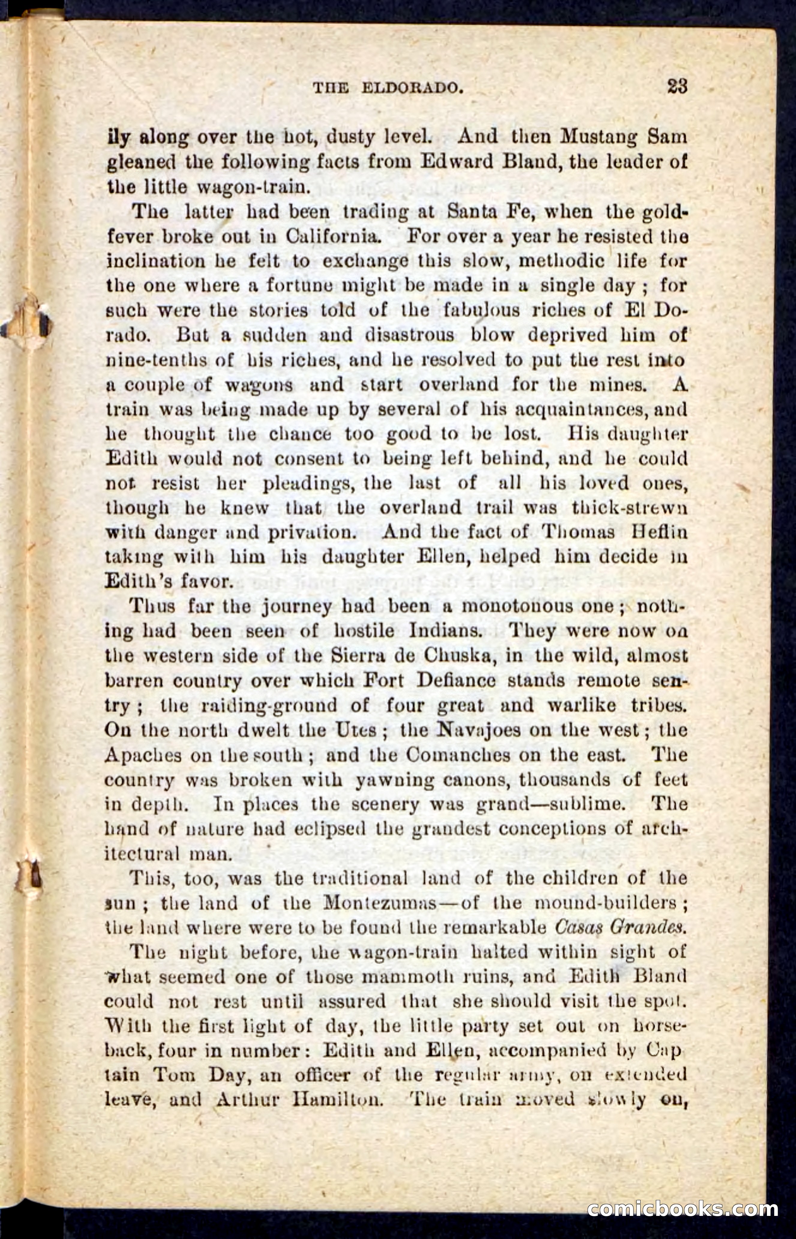 Beadle's Pocket Novels No. 184: Mustang Sam — page 19 of 100