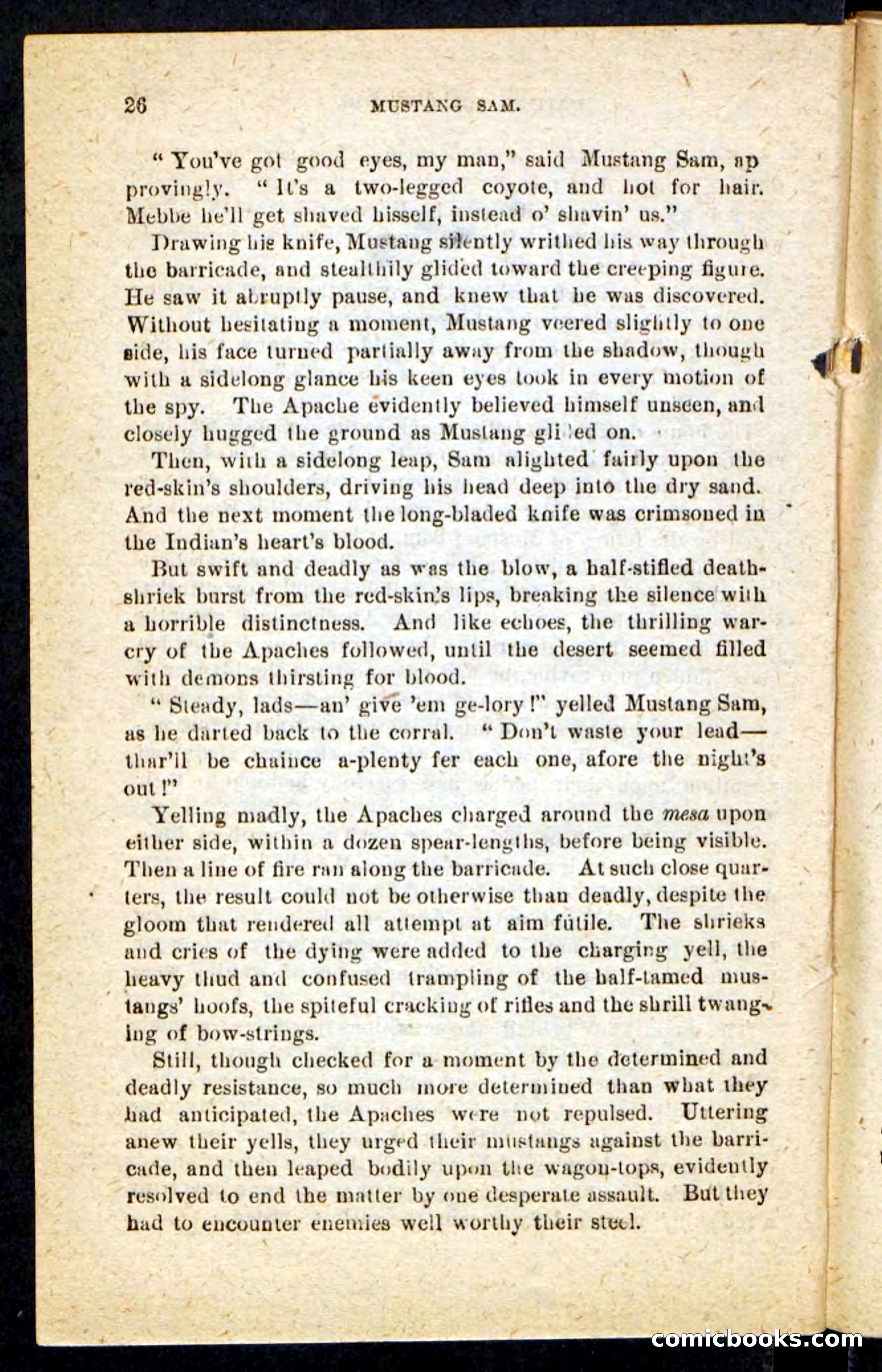 Beadle's Pocket Novels No. 184: Mustang Sam — page 22 of 100