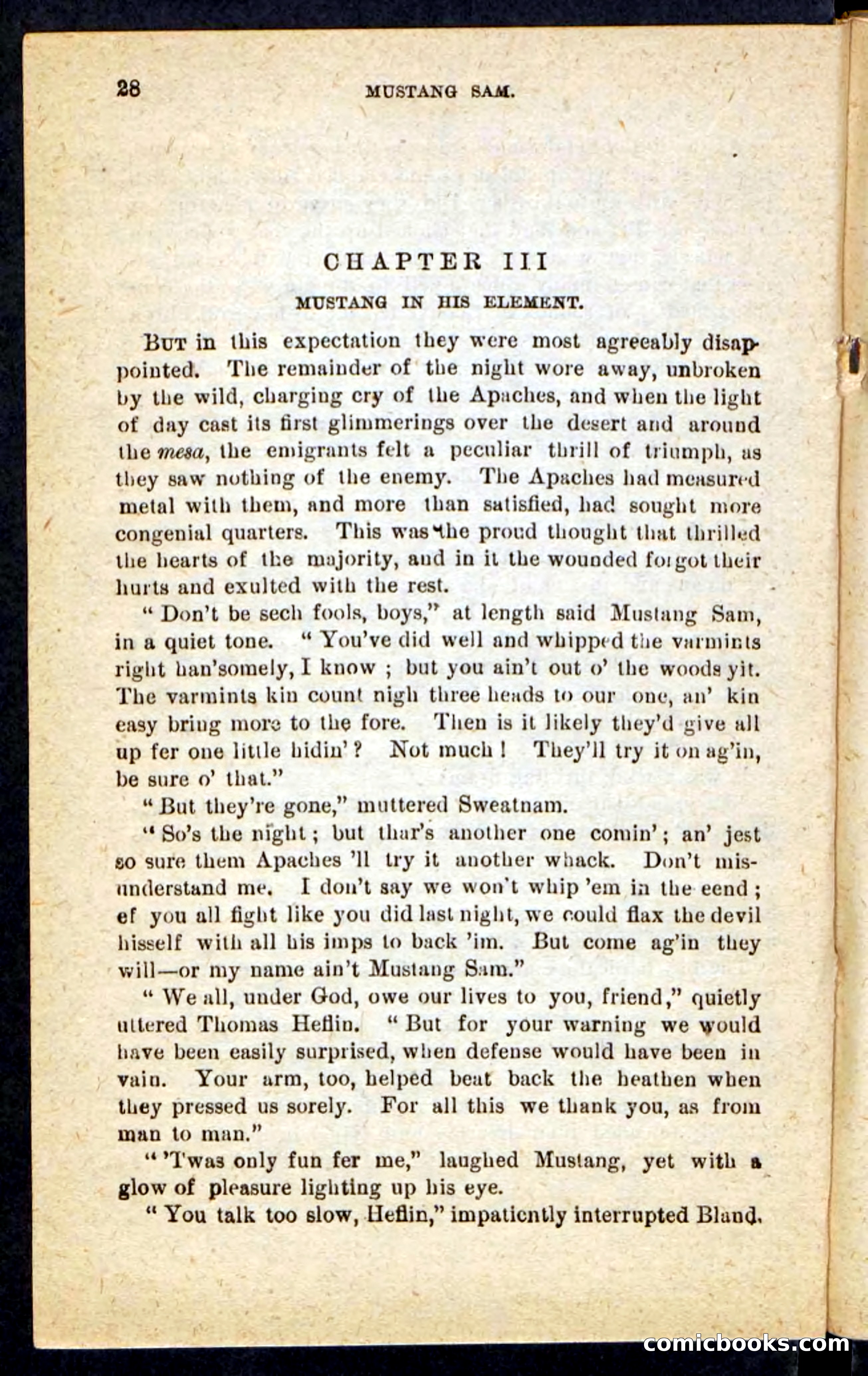 Beadle's Pocket Novels No. 184: Mustang Sam — page 24 of 100
