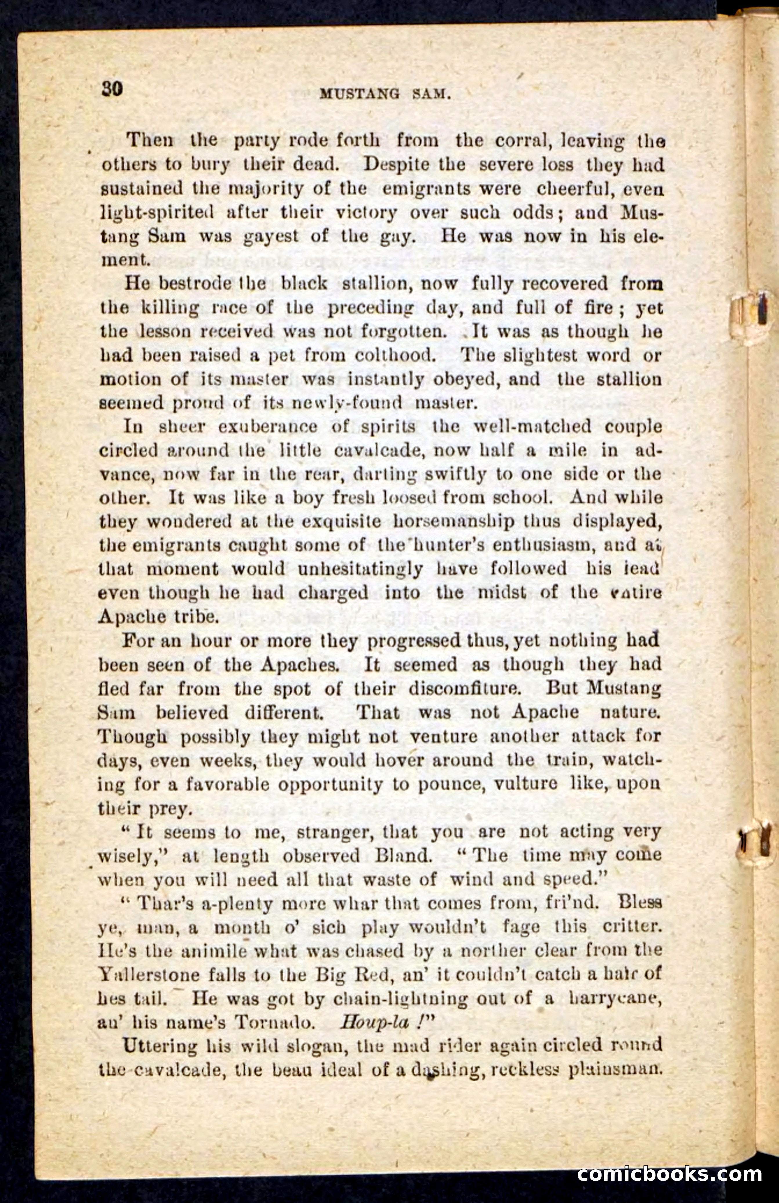 Beadle's Pocket Novels No. 184: Mustang Sam — page 26 of 100