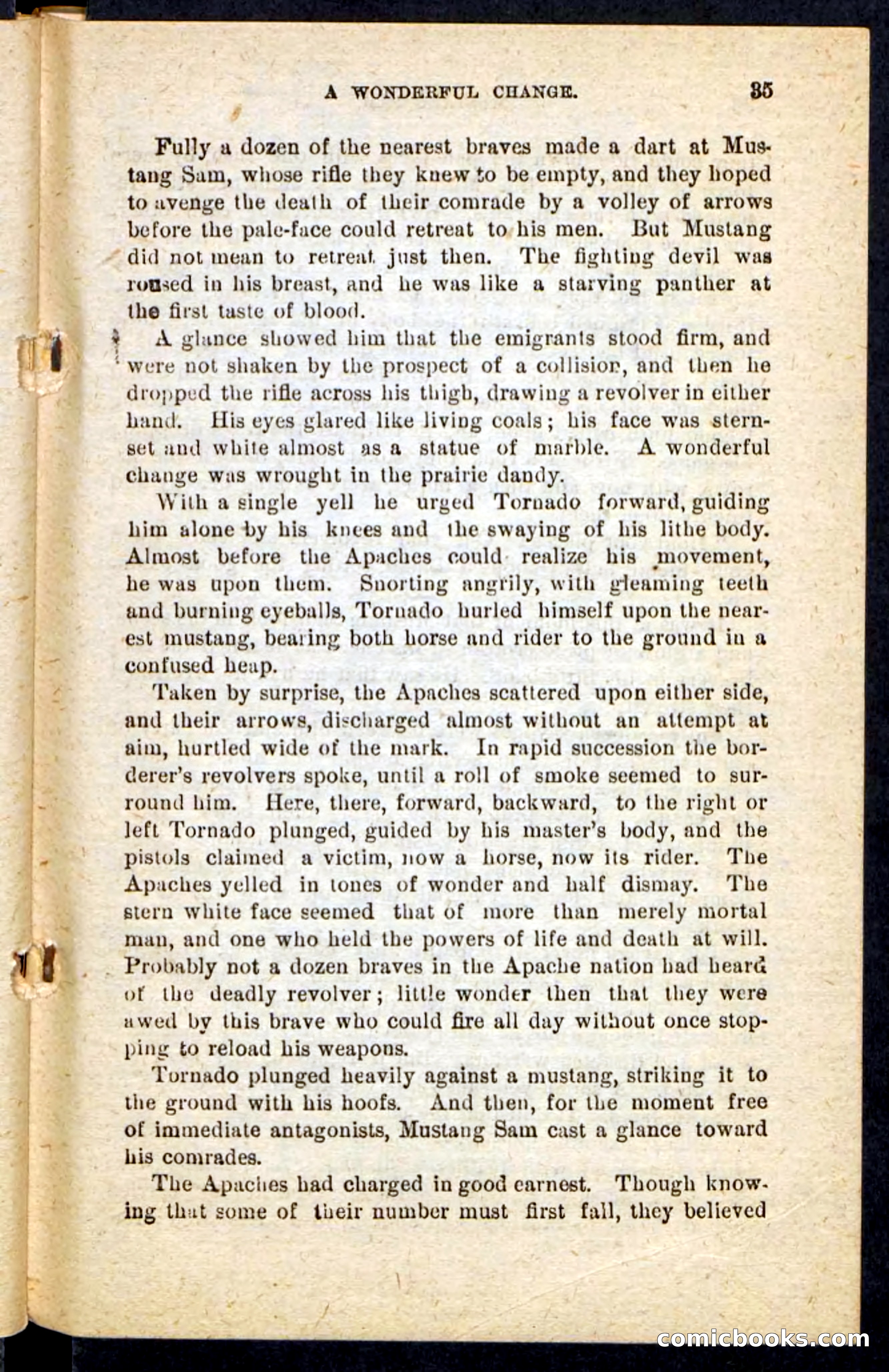 Beadle's Pocket Novels No. 184: Mustang Sam — page 31 of 100