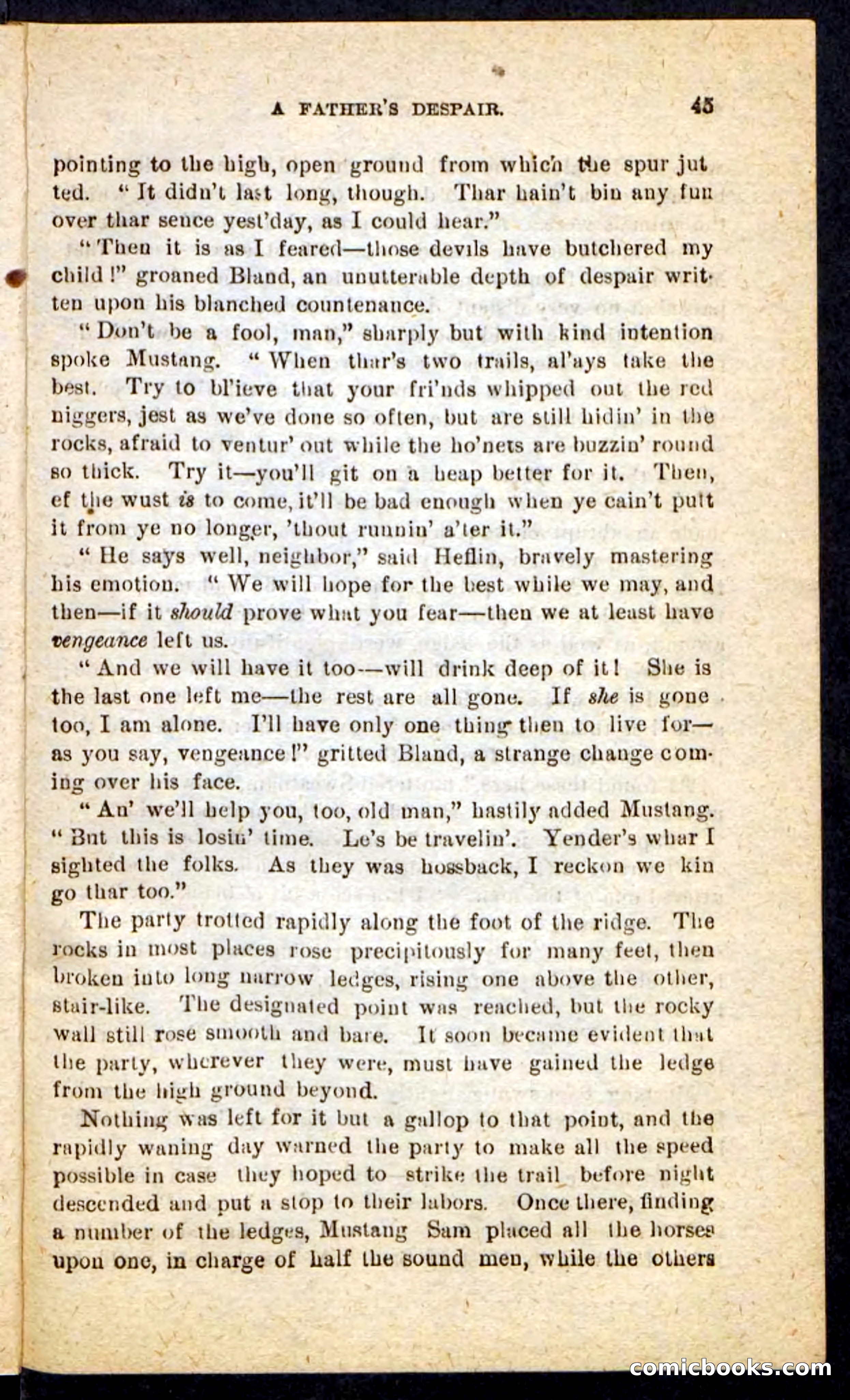 Beadle's Pocket Novels No. 184: Mustang Sam — page 41 of 100