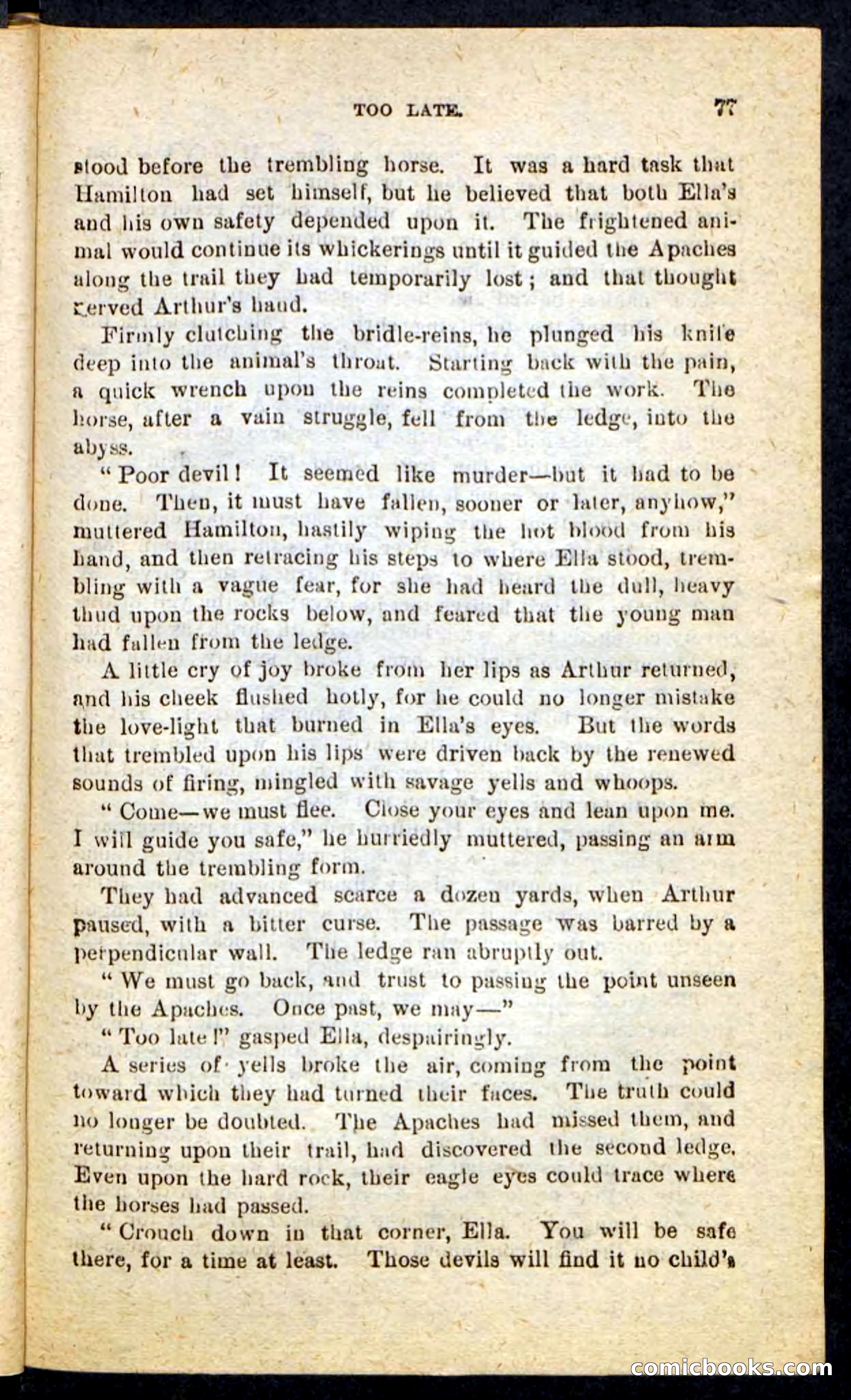 Beadle's Pocket Novels No. 184: Mustang Sam — page 73 of 100