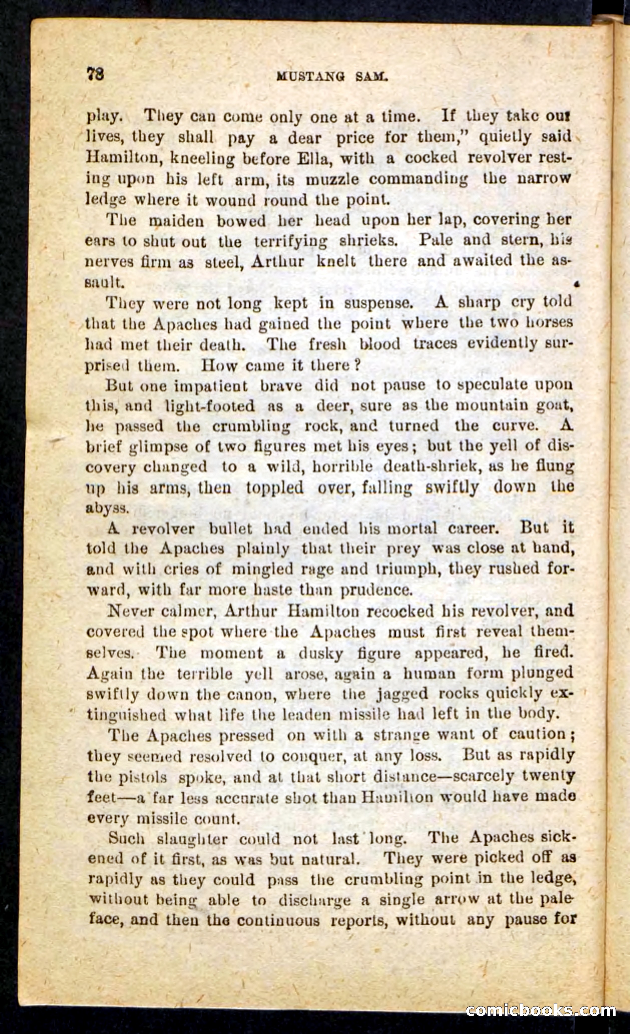 Beadle's Pocket Novels No. 184: Mustang Sam — page 74 of 100