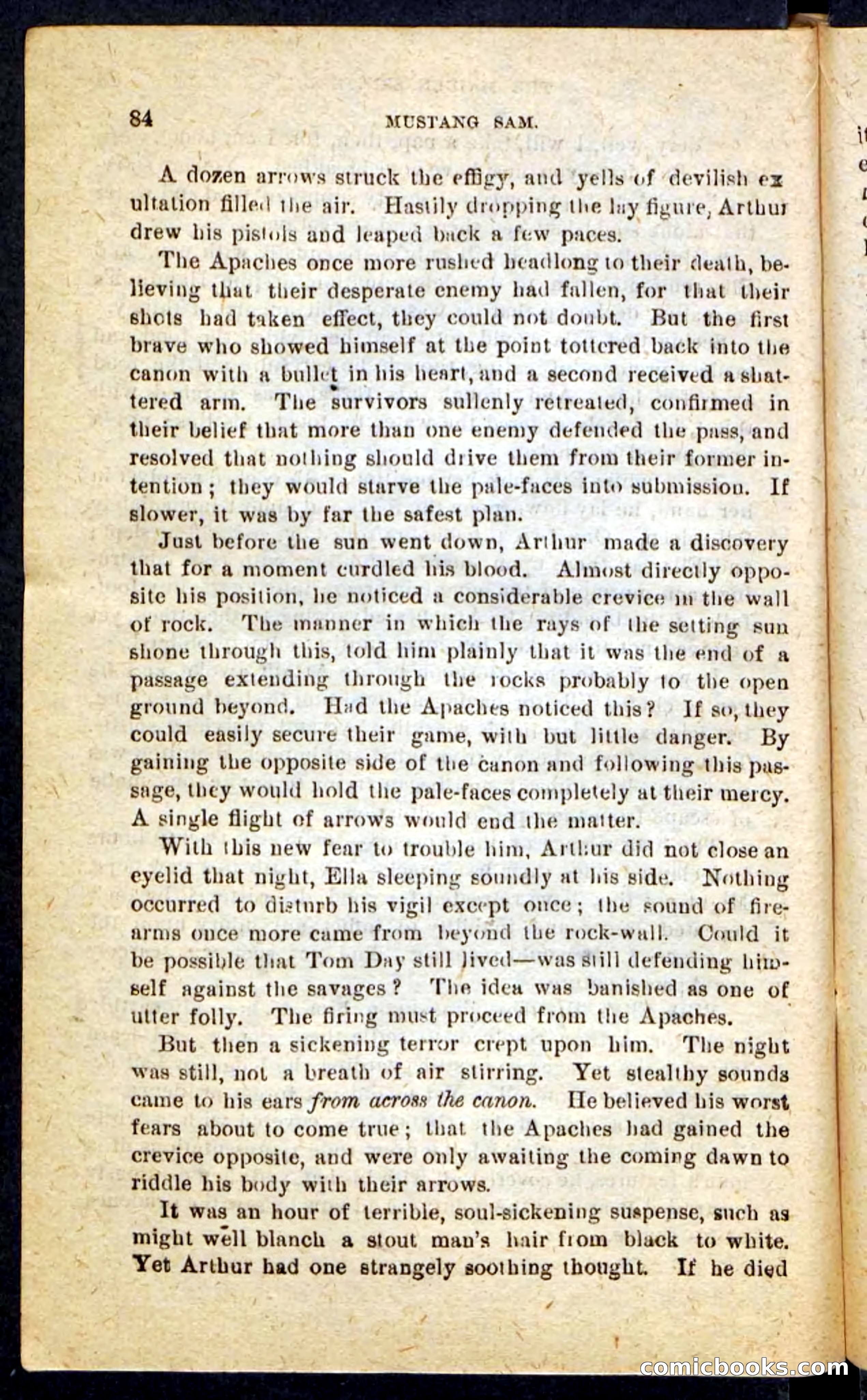 Beadle's Pocket Novels No. 184: Mustang Sam — page 80 of 100