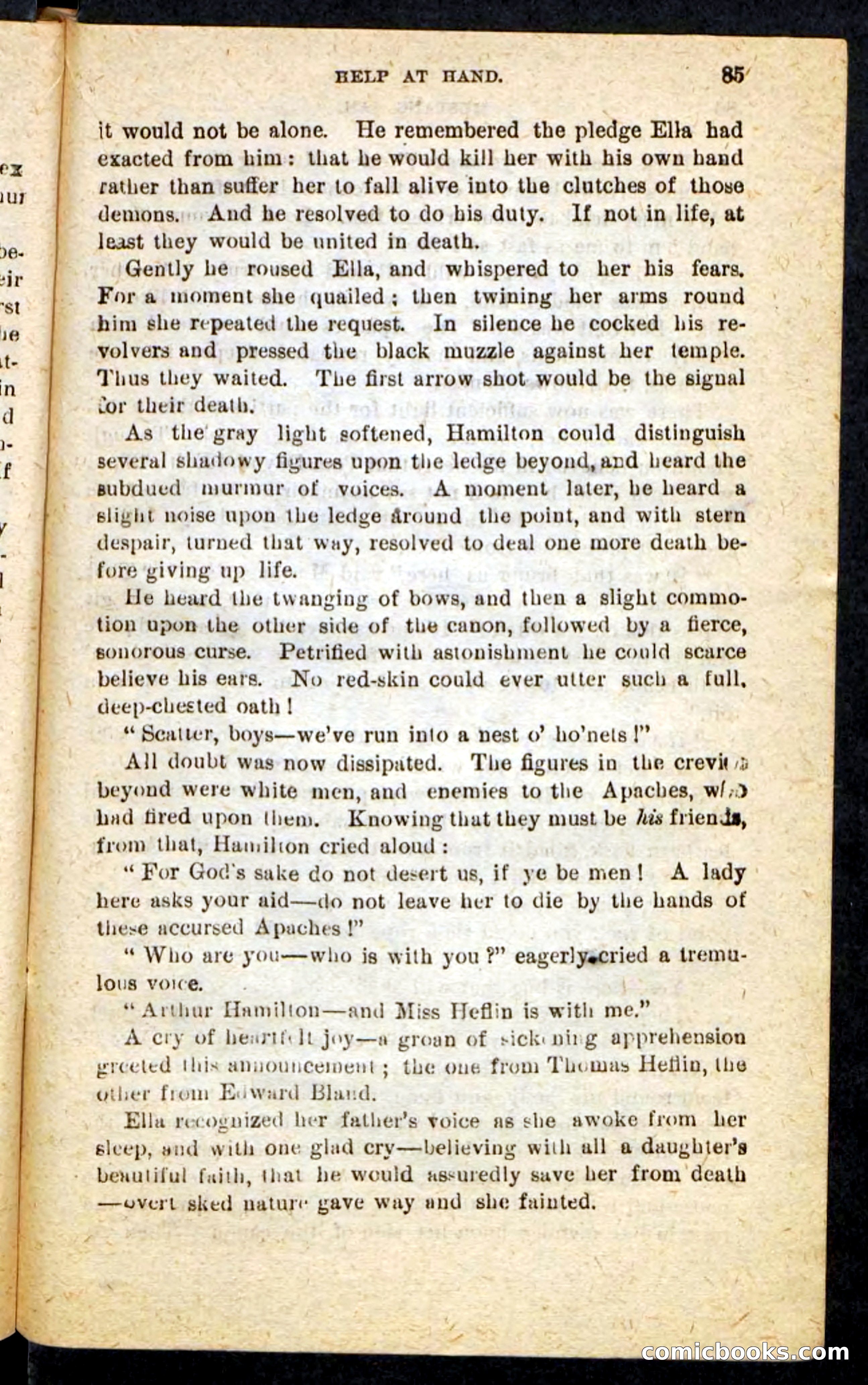 Beadle's Pocket Novels No. 184: Mustang Sam — page 81 of 100