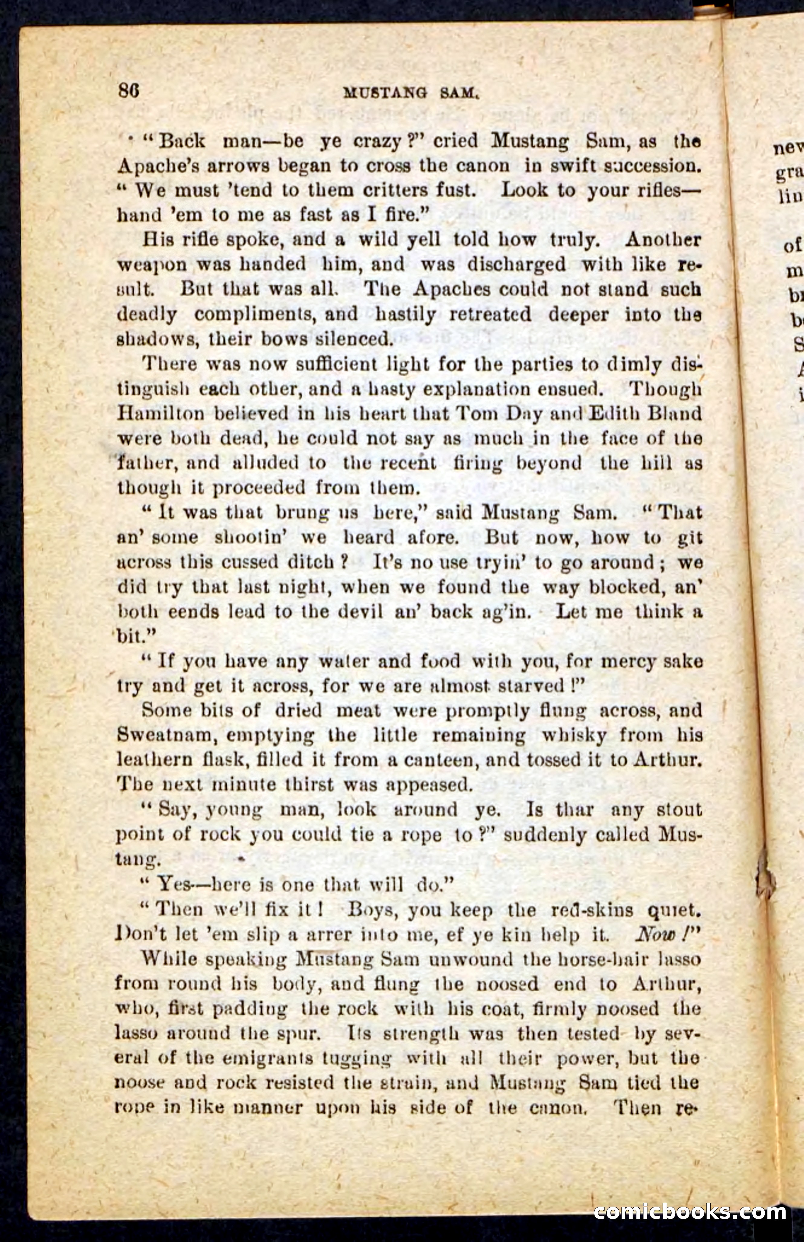 Beadle's Pocket Novels No. 184: Mustang Sam — page 82 of 100