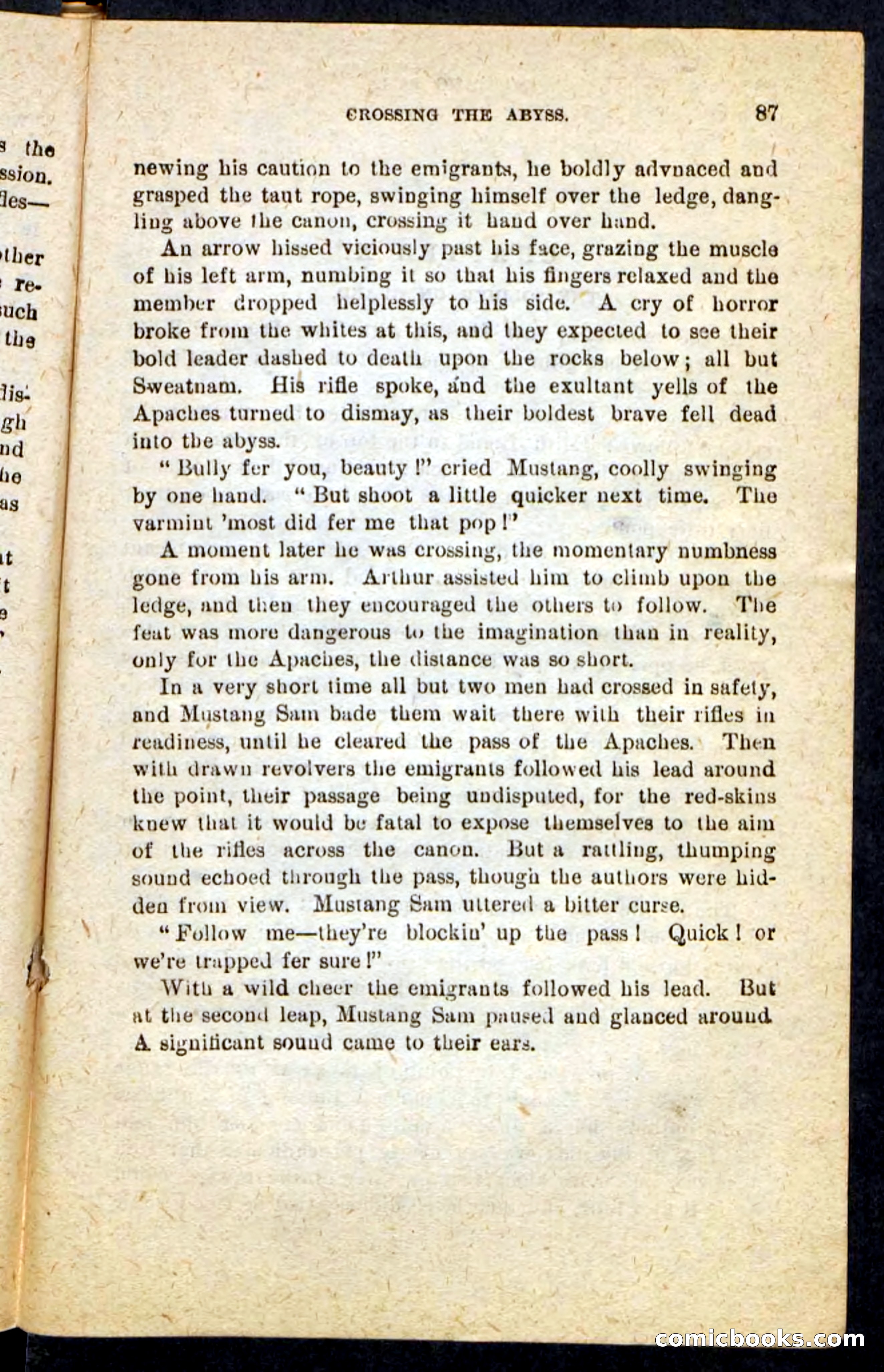 Beadle's Pocket Novels No. 184: Mustang Sam — page 83 of 100