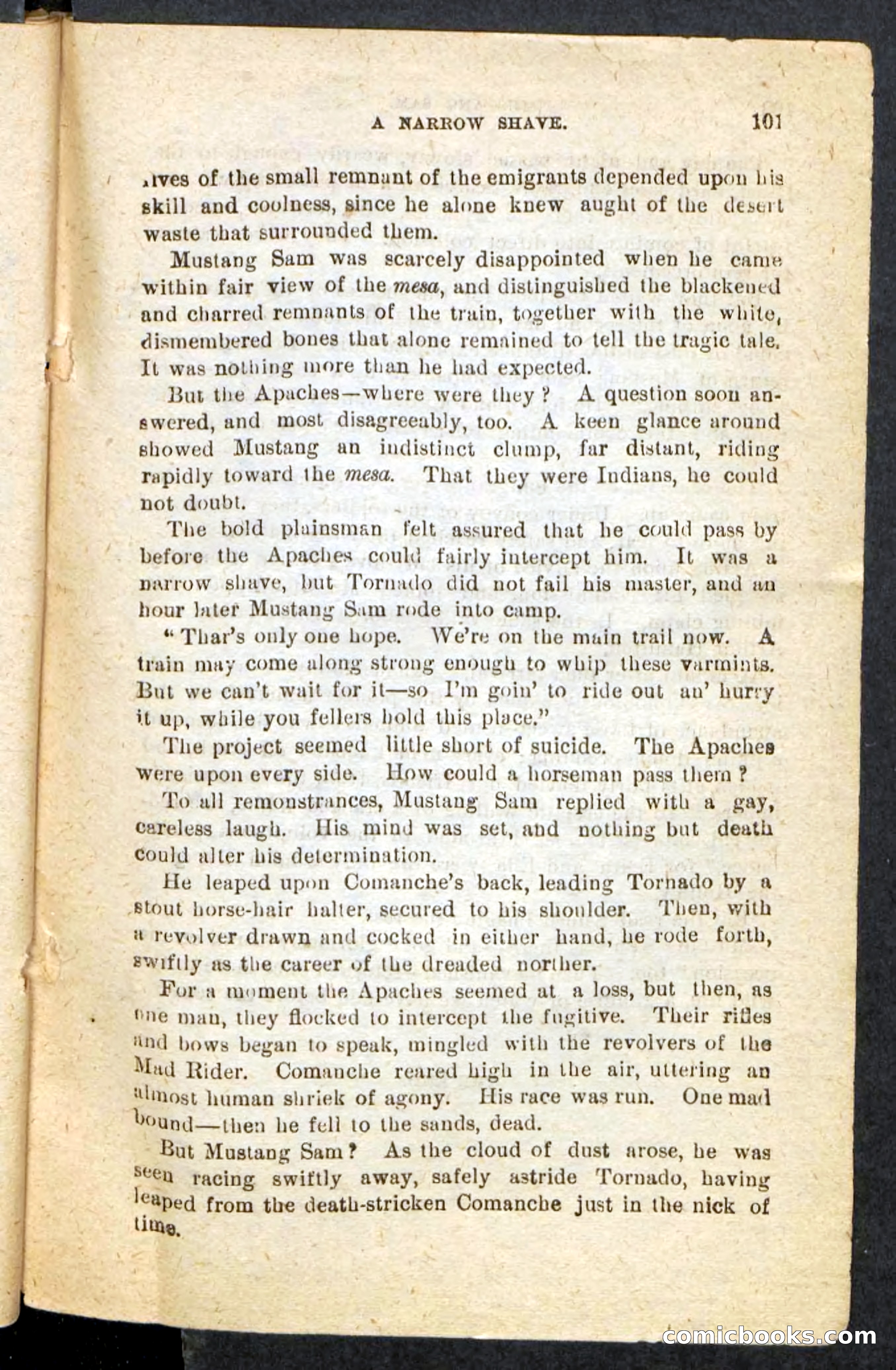 Beadle's Pocket Novels No. 184: Mustang Sam — page 97 of 100