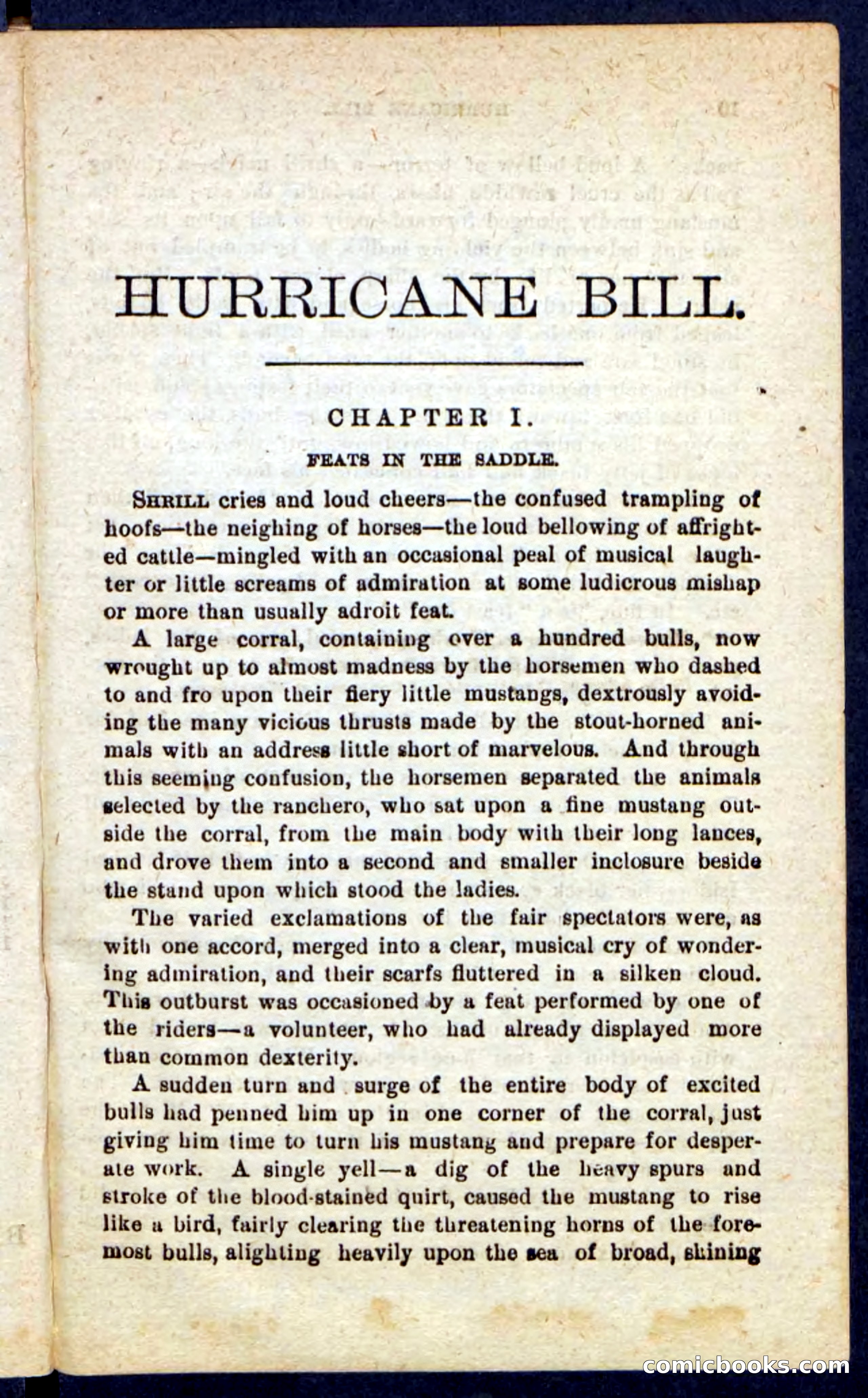 Hurricane Bill — page 5 of 100