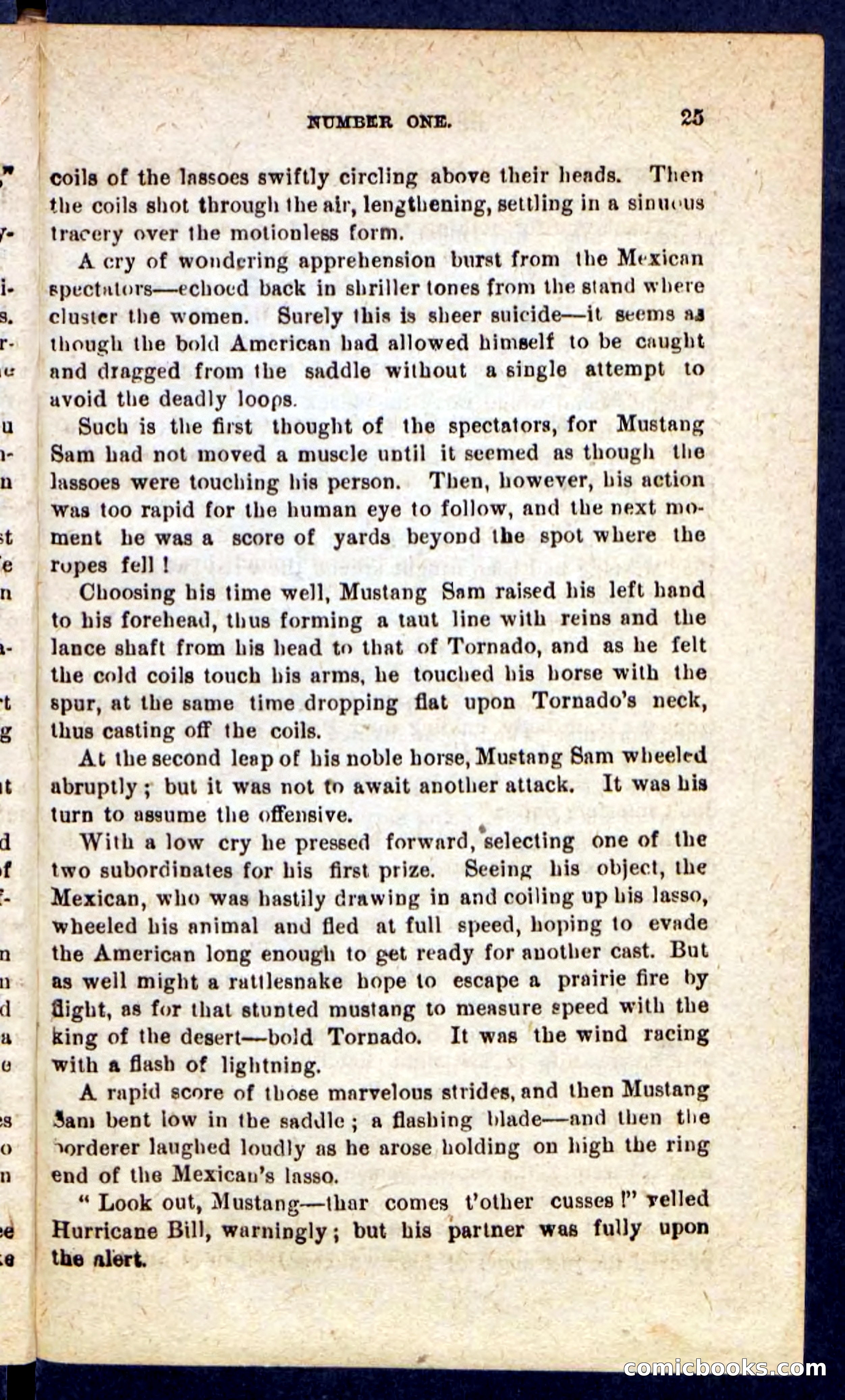 Hurricane Bill — page 21 of 100
