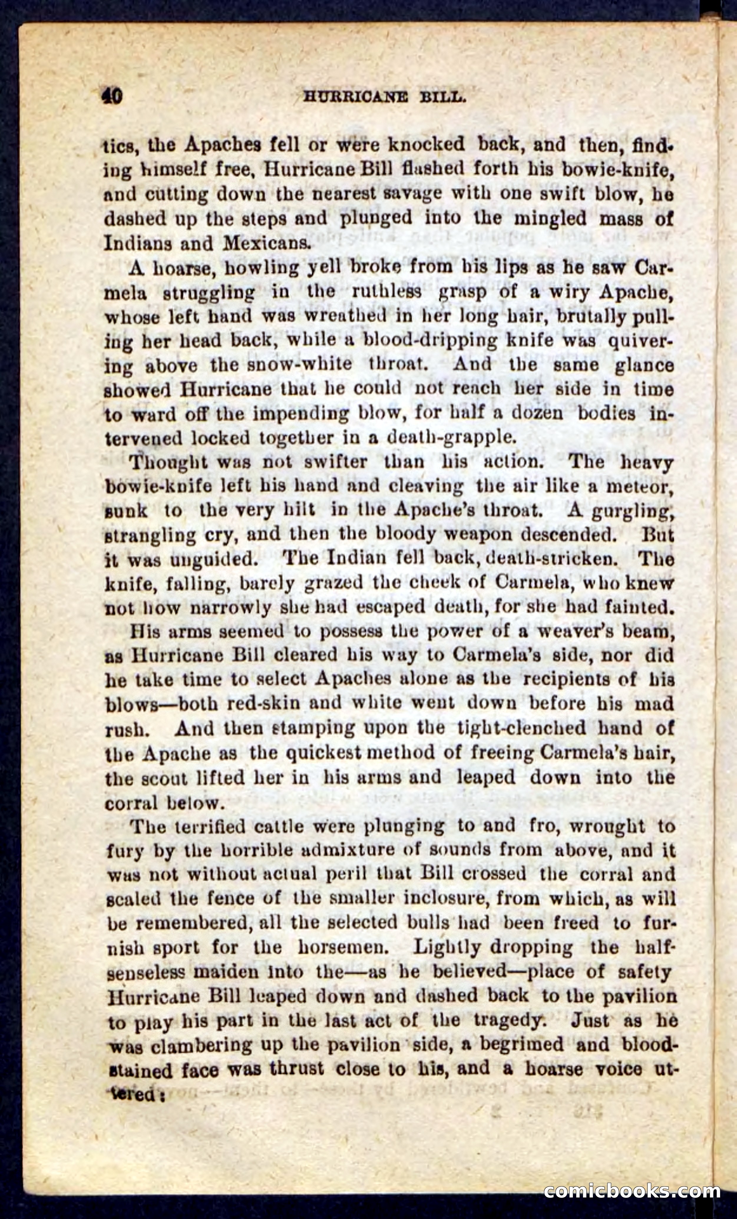 Hurricane Bill — page 36 of 100