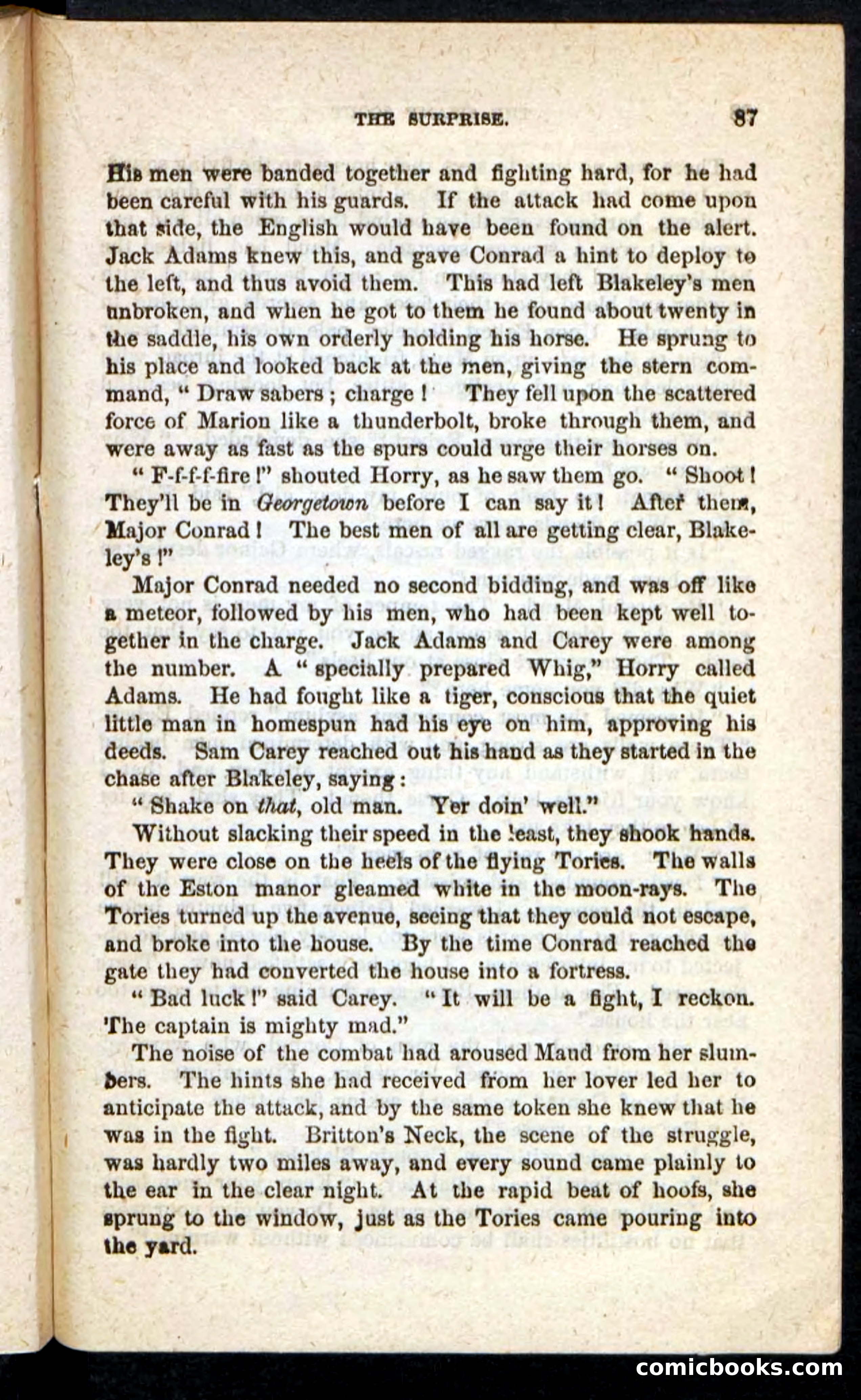 The Swamp Scout — page 83 of 100