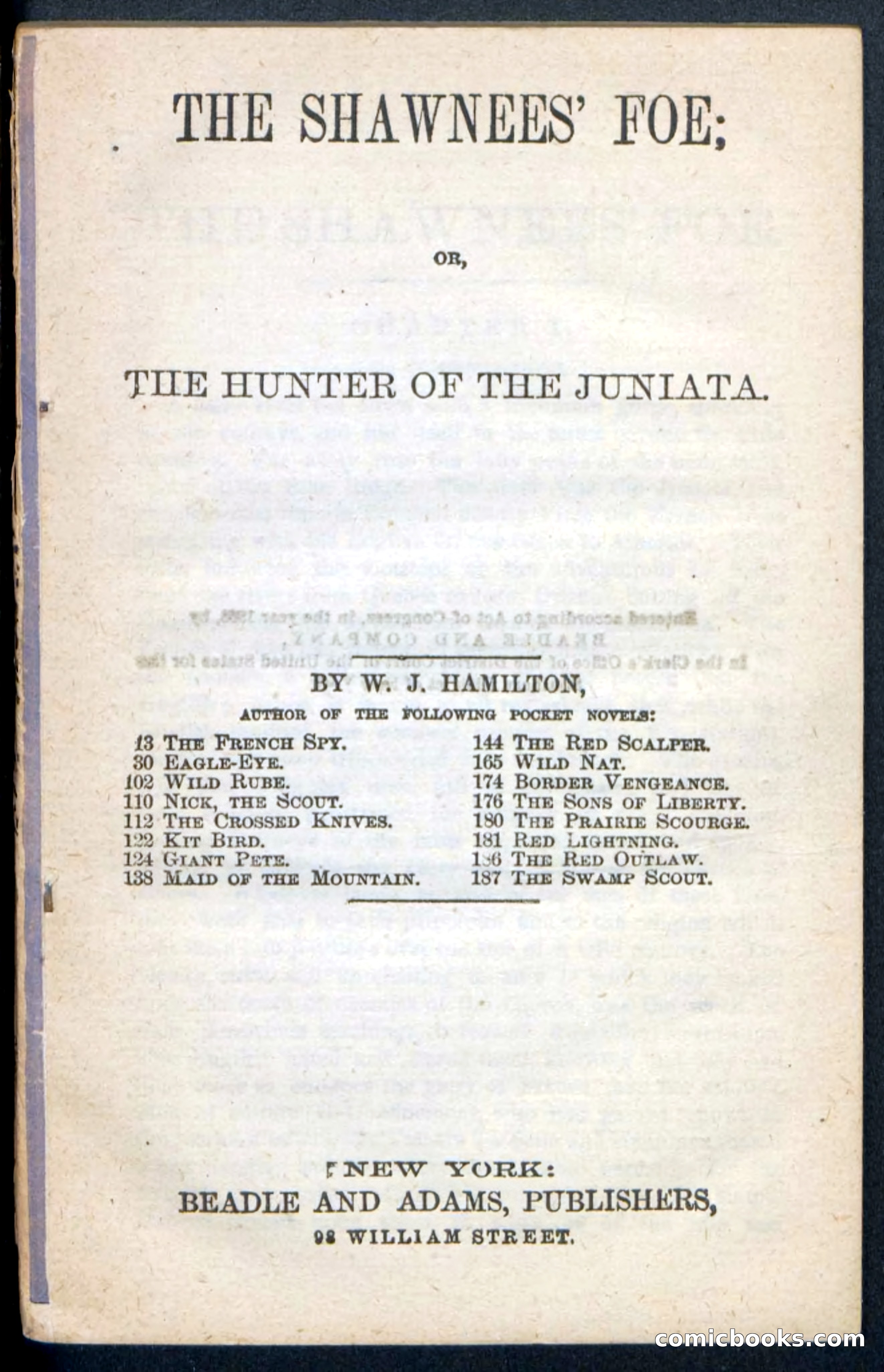 Beadle's Pocket Novels No. 188: The Shawnees' Foe — page 3 of 98