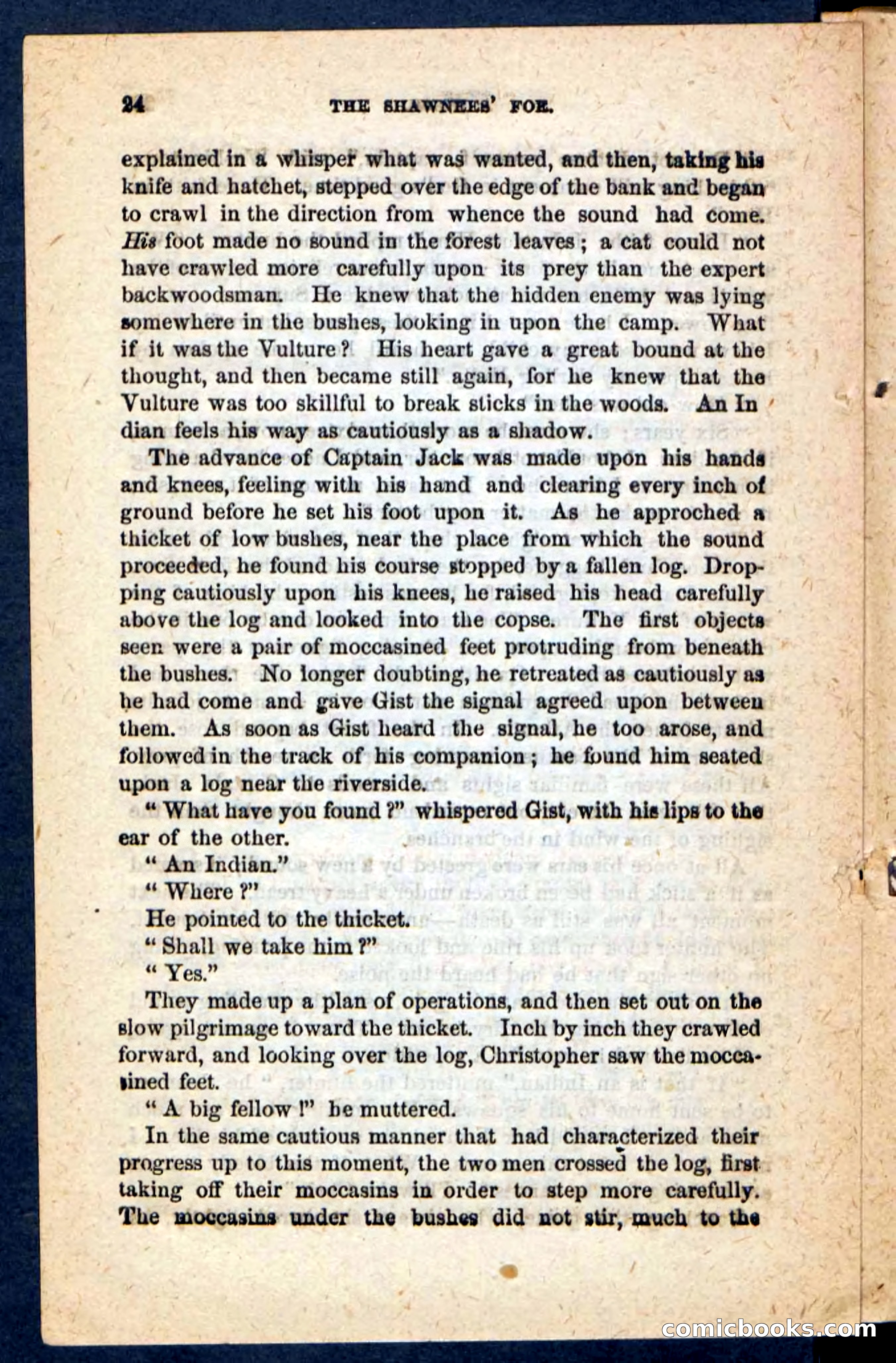 Beadle's Pocket Novels No. 188: The Shawnees' Foe — page 20 of 98
