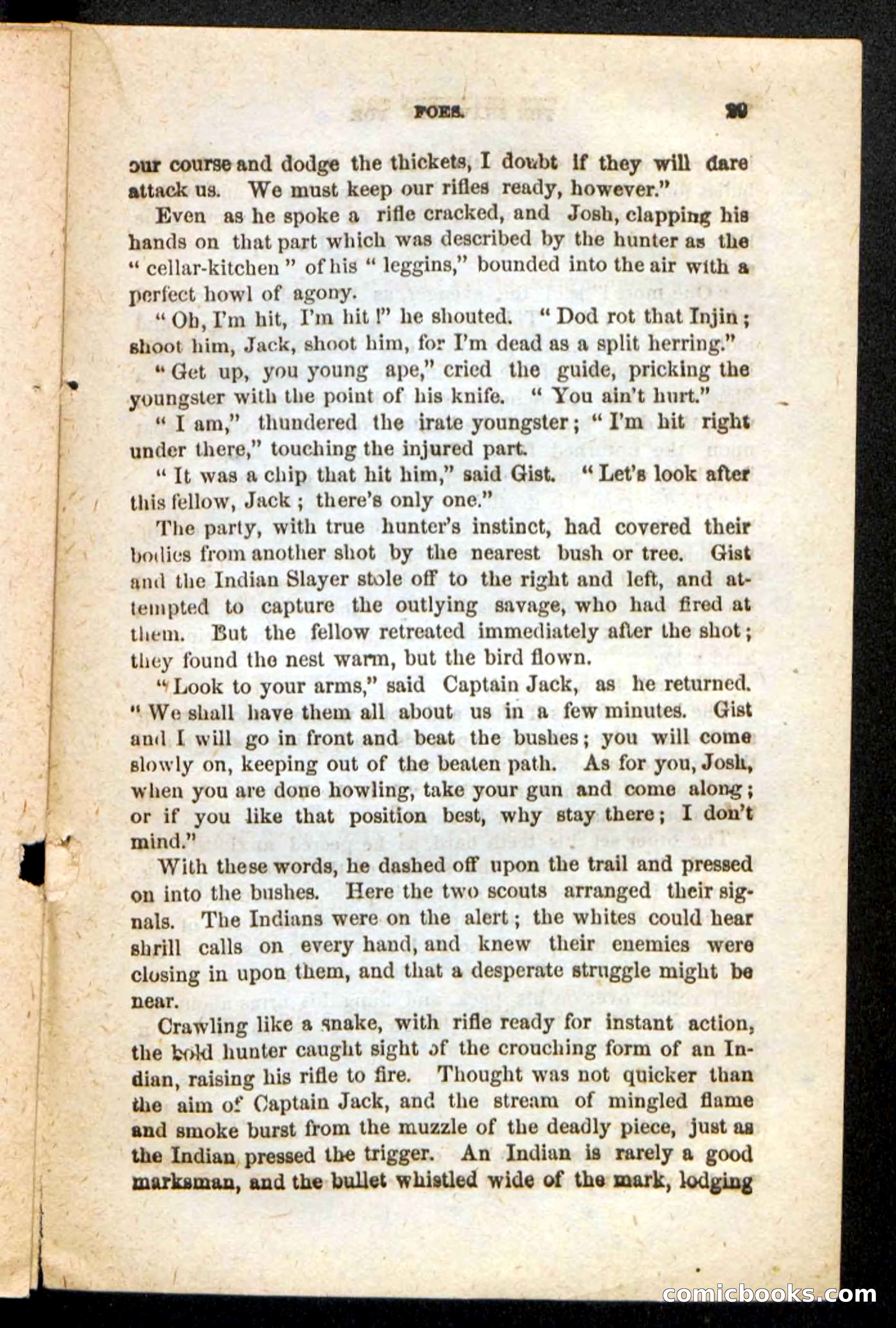 Beadle's Pocket Novels No. 188: The Shawnees' Foe — page 25 of 98