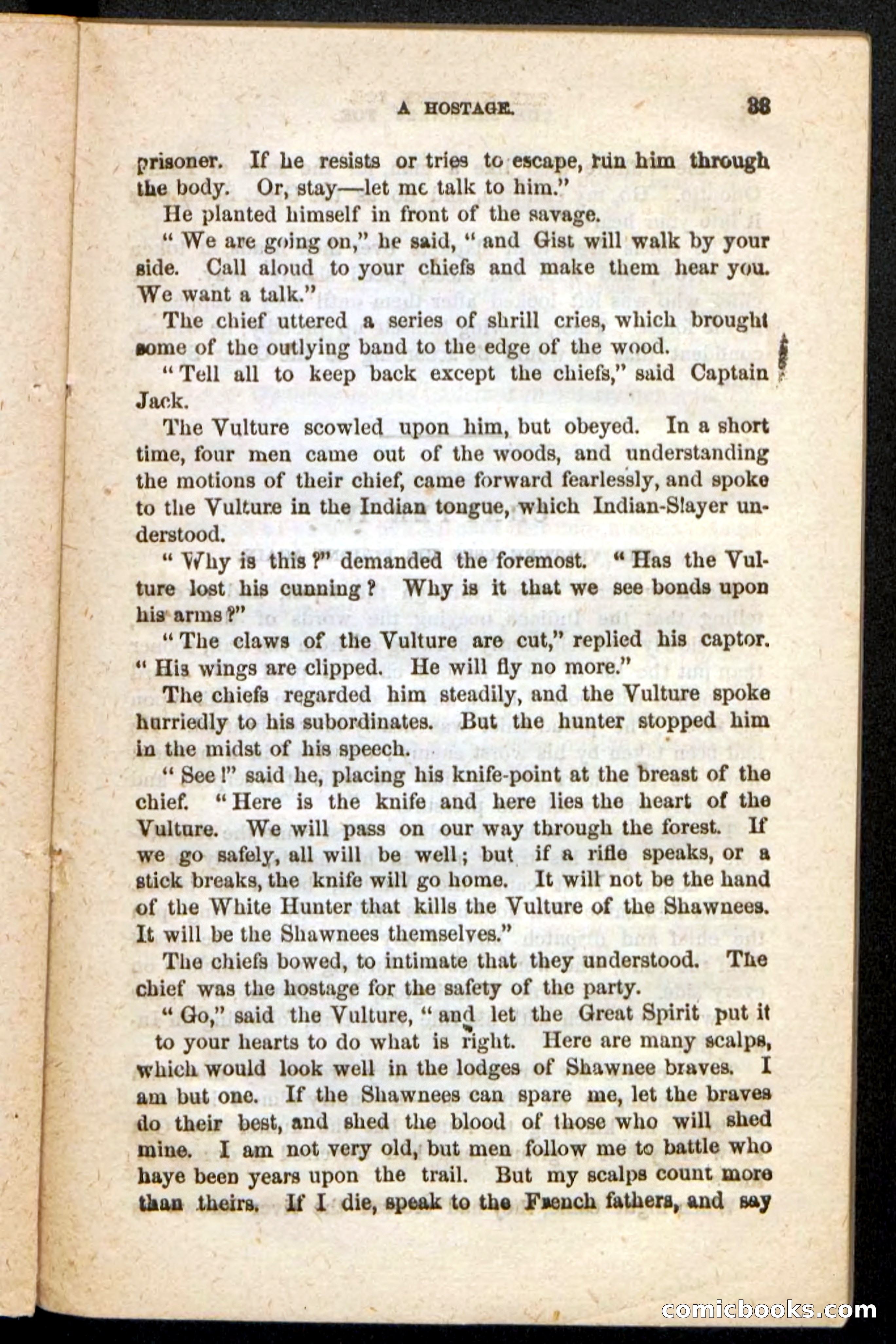 Beadle's Pocket Novels No. 188: The Shawnees' Foe — page 29 of 98