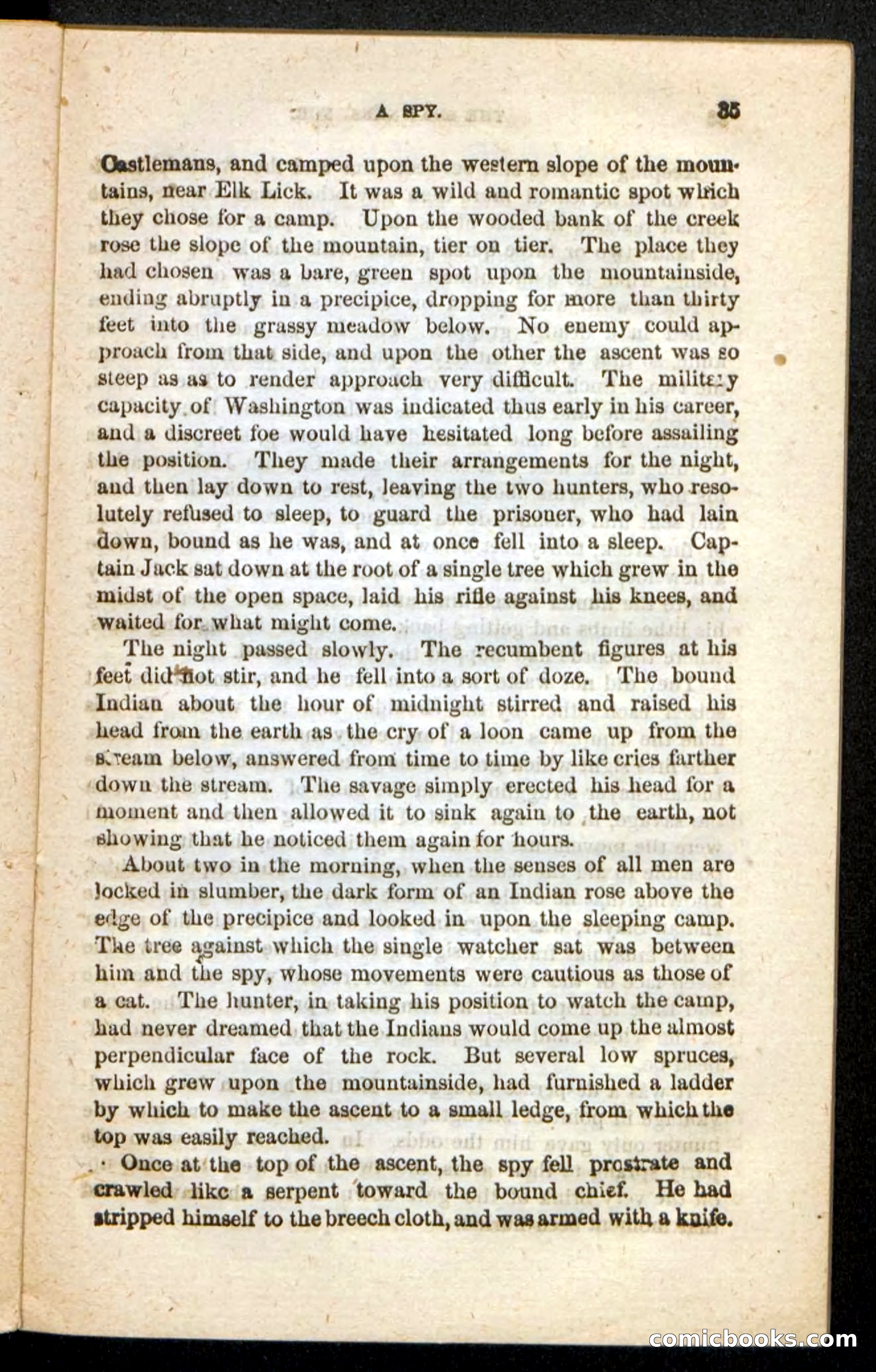 Beadle's Pocket Novels No. 188: The Shawnees' Foe — page 31 of 98