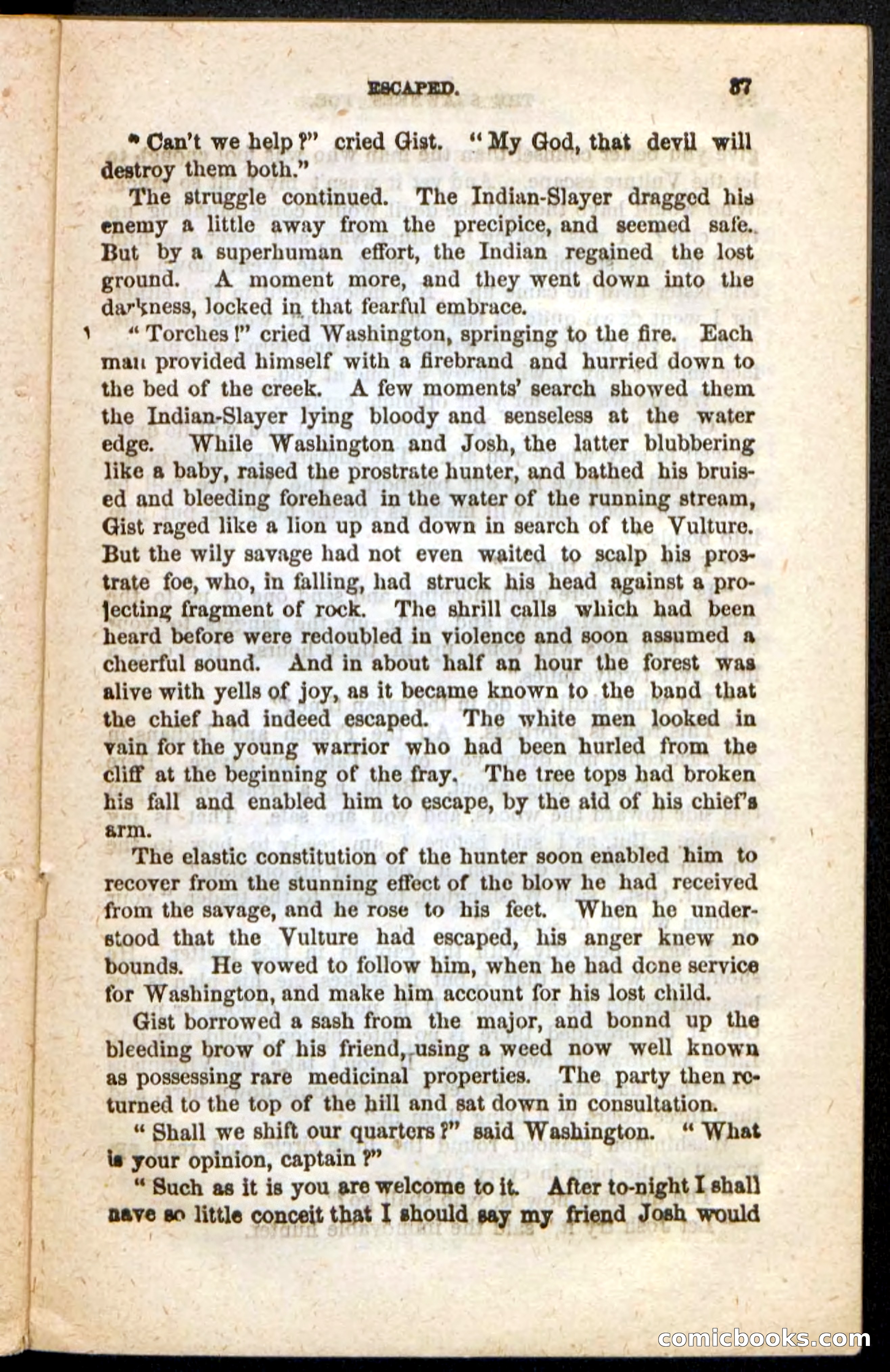 Beadle's Pocket Novels No. 188: The Shawnees' Foe — page 33 of 98