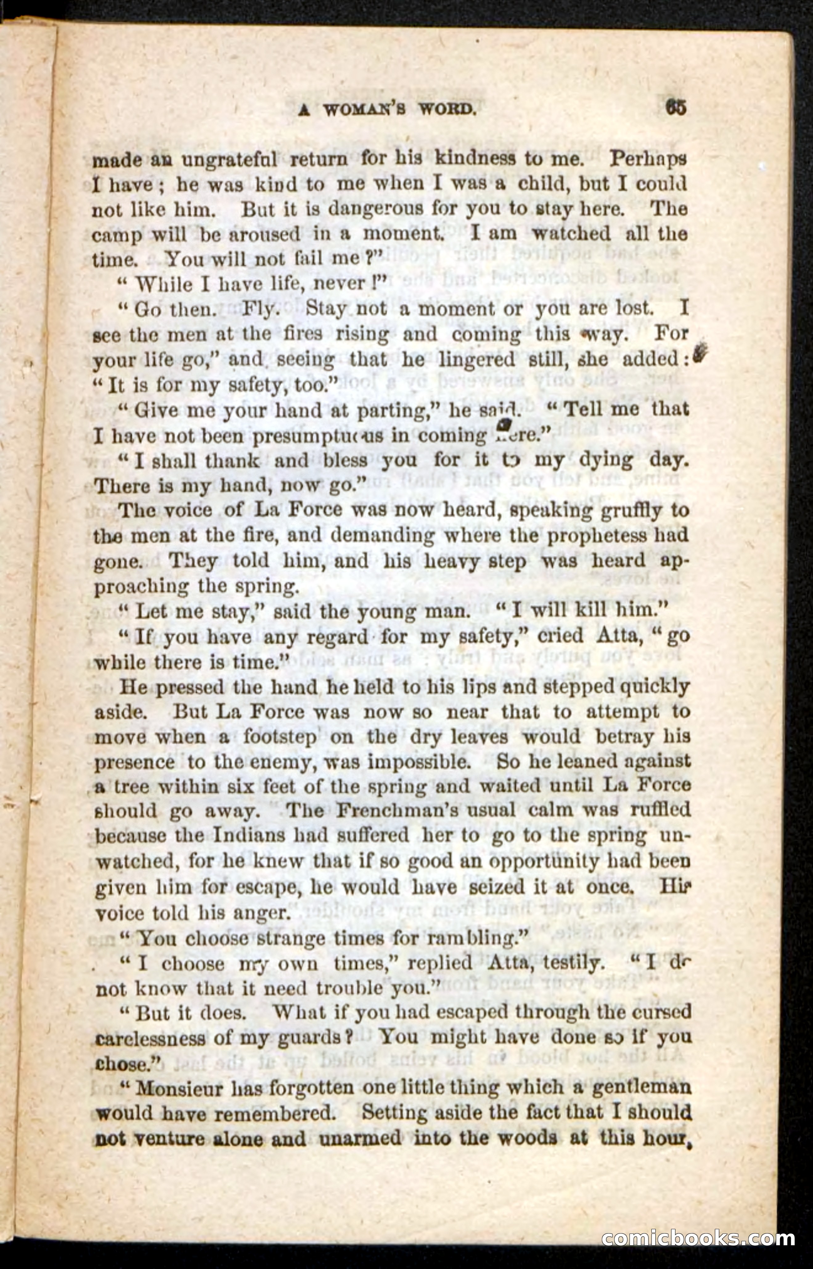 Beadle's Pocket Novels No. 188: The Shawnees' Foe — page 61 of 98