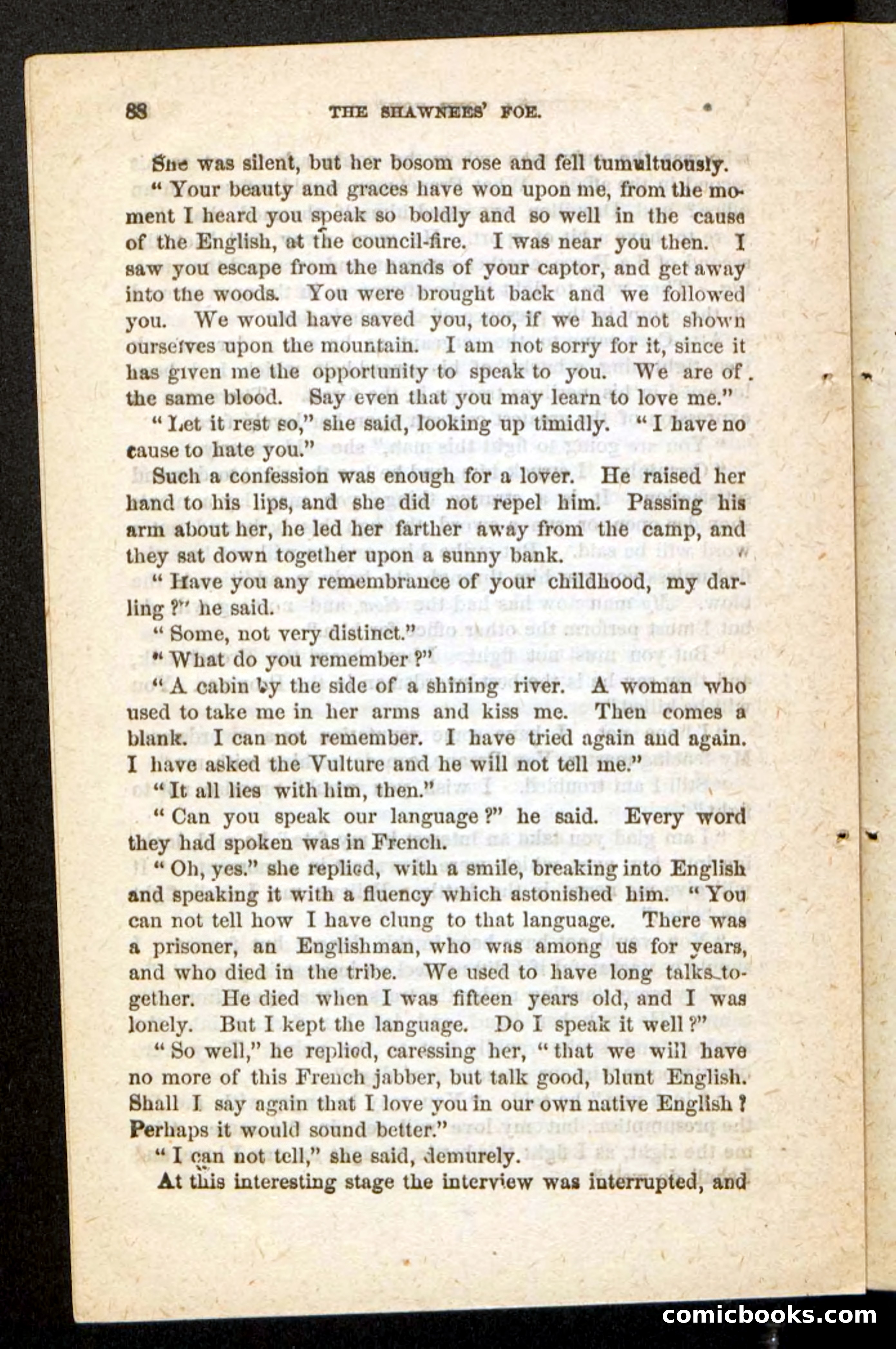 Beadle's Pocket Novels No. 188: The Shawnees' Foe — page 84 of 98