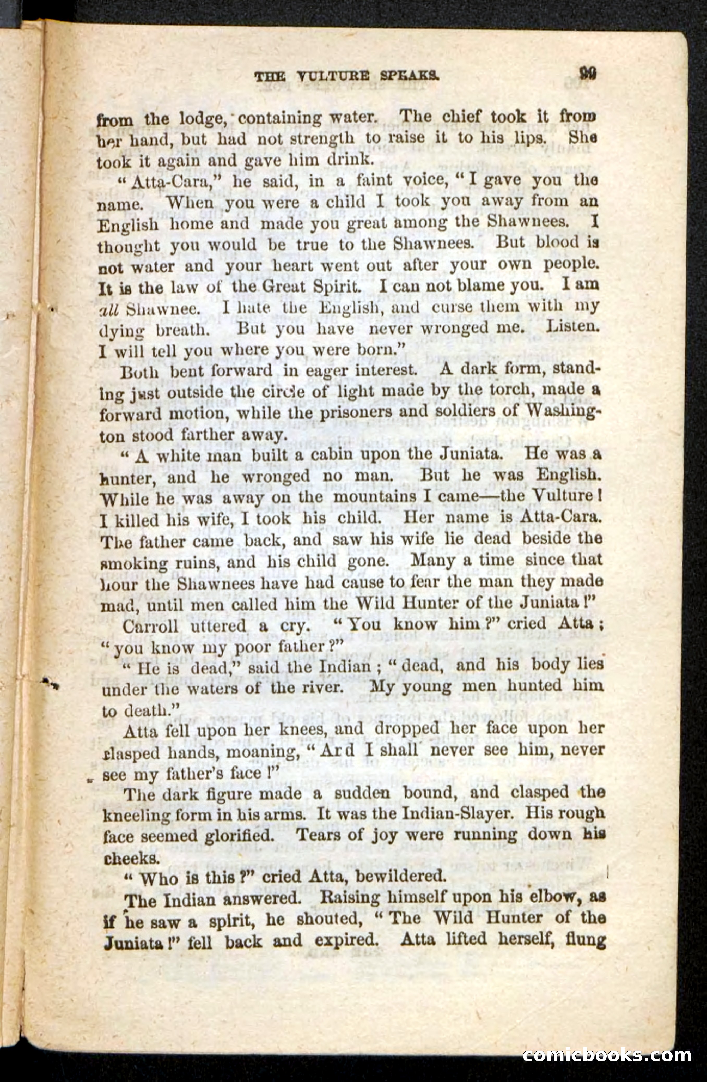 Beadle's Pocket Novels No. 188: The Shawnees' Foe — page 93 of 98