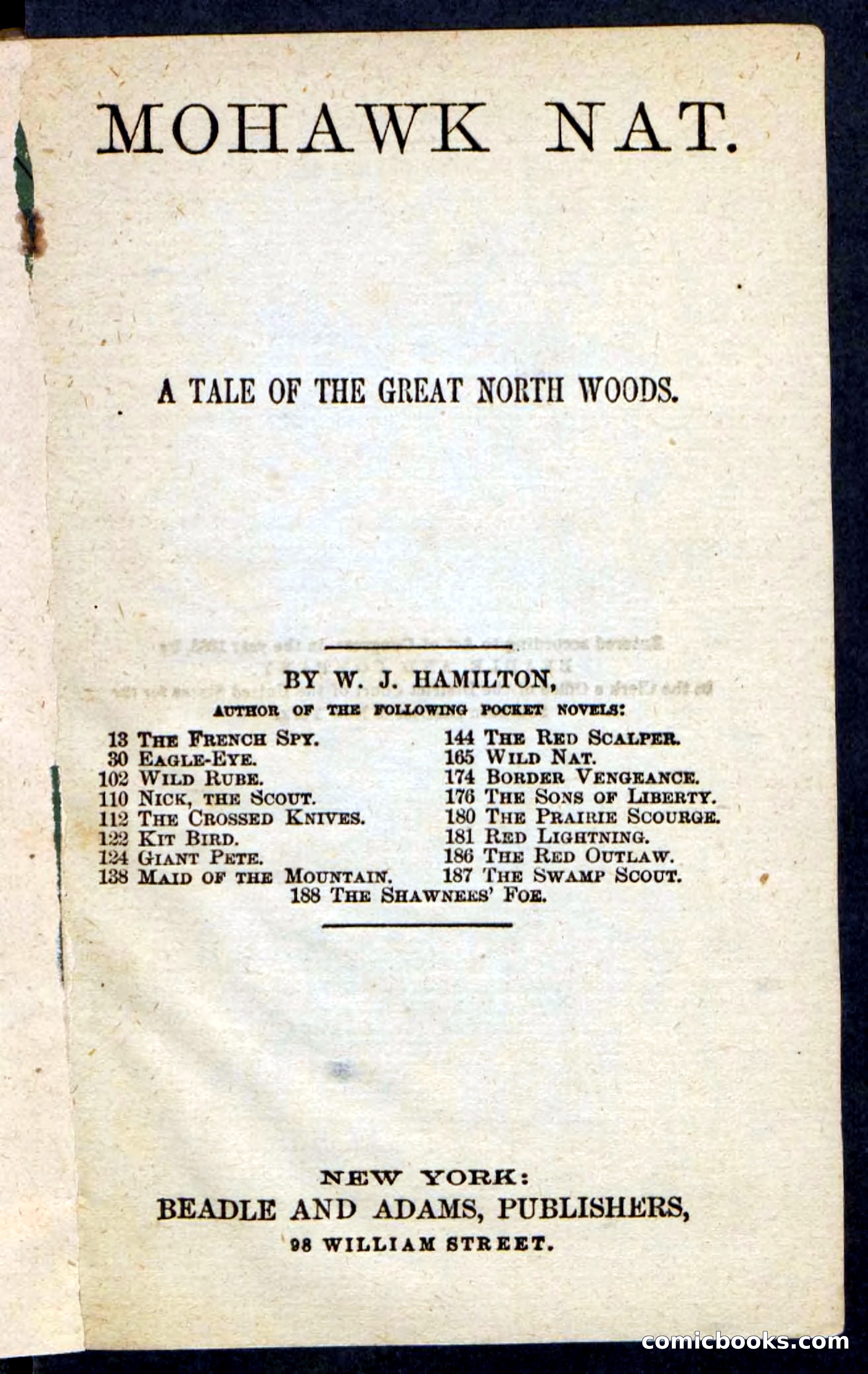Beadle's Pocket Novels No. 189 — page 3 of 100