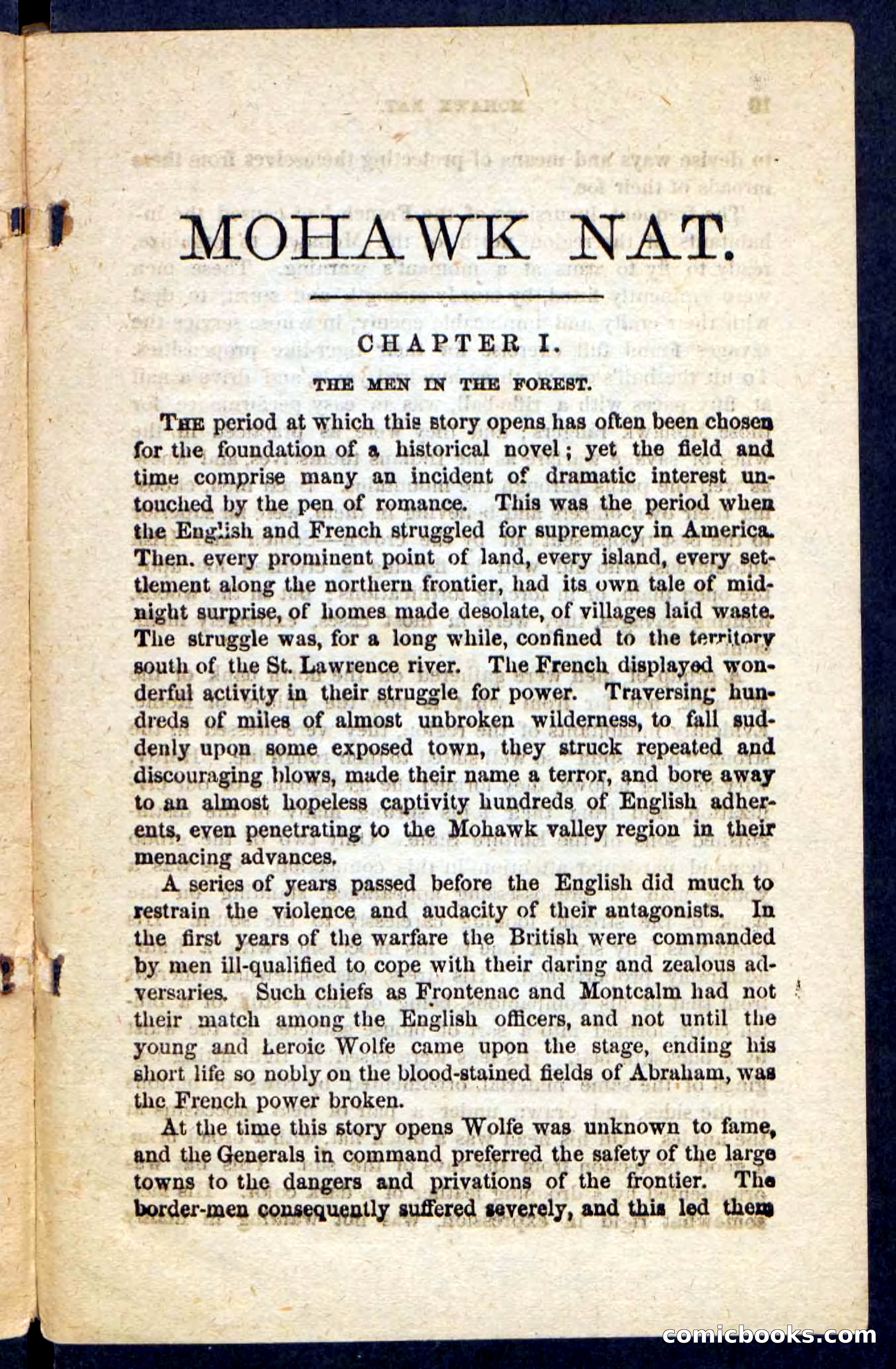 Beadle's Pocket Novels No. 189 — page 5 of 100