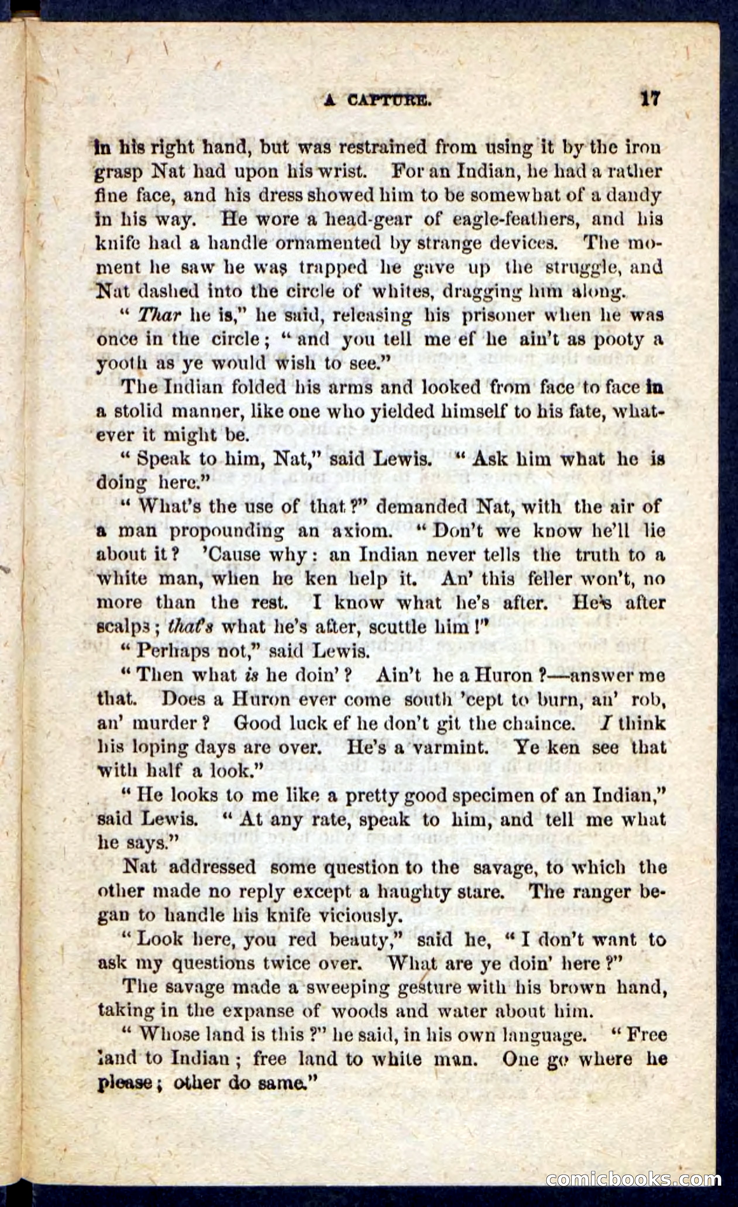 Beadle's Pocket Novels No. 189 — page 13 of 100