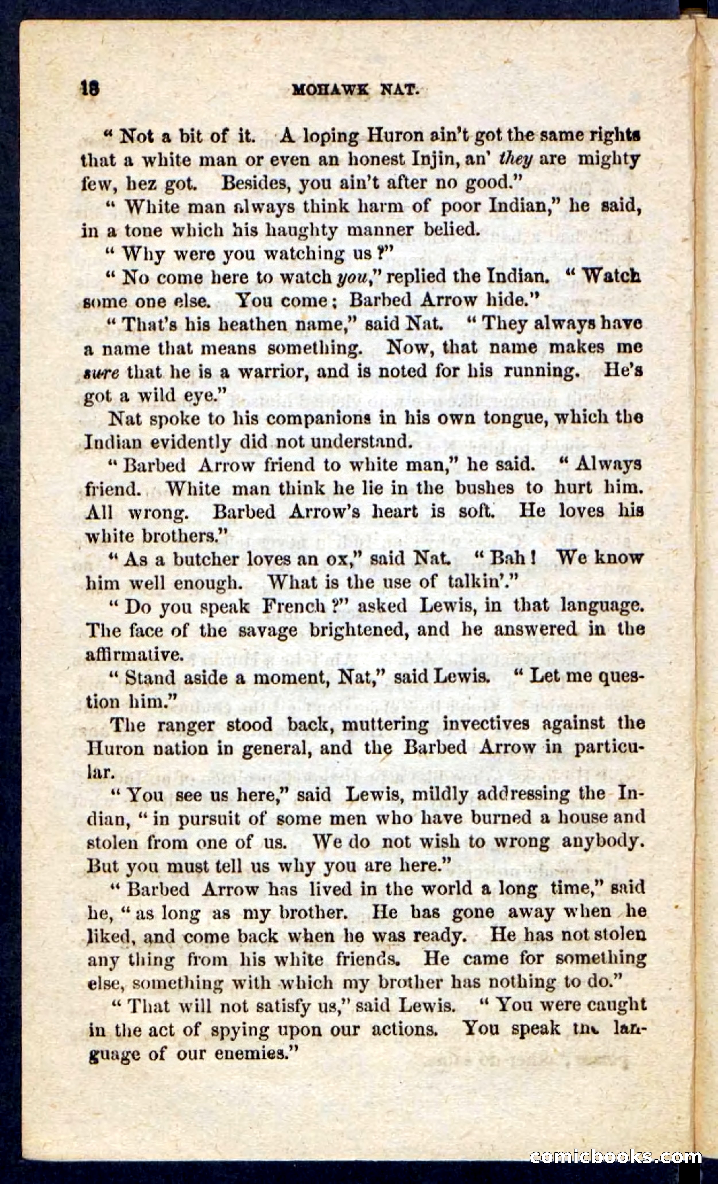 Beadle's Pocket Novels No. 189 — page 14 of 100