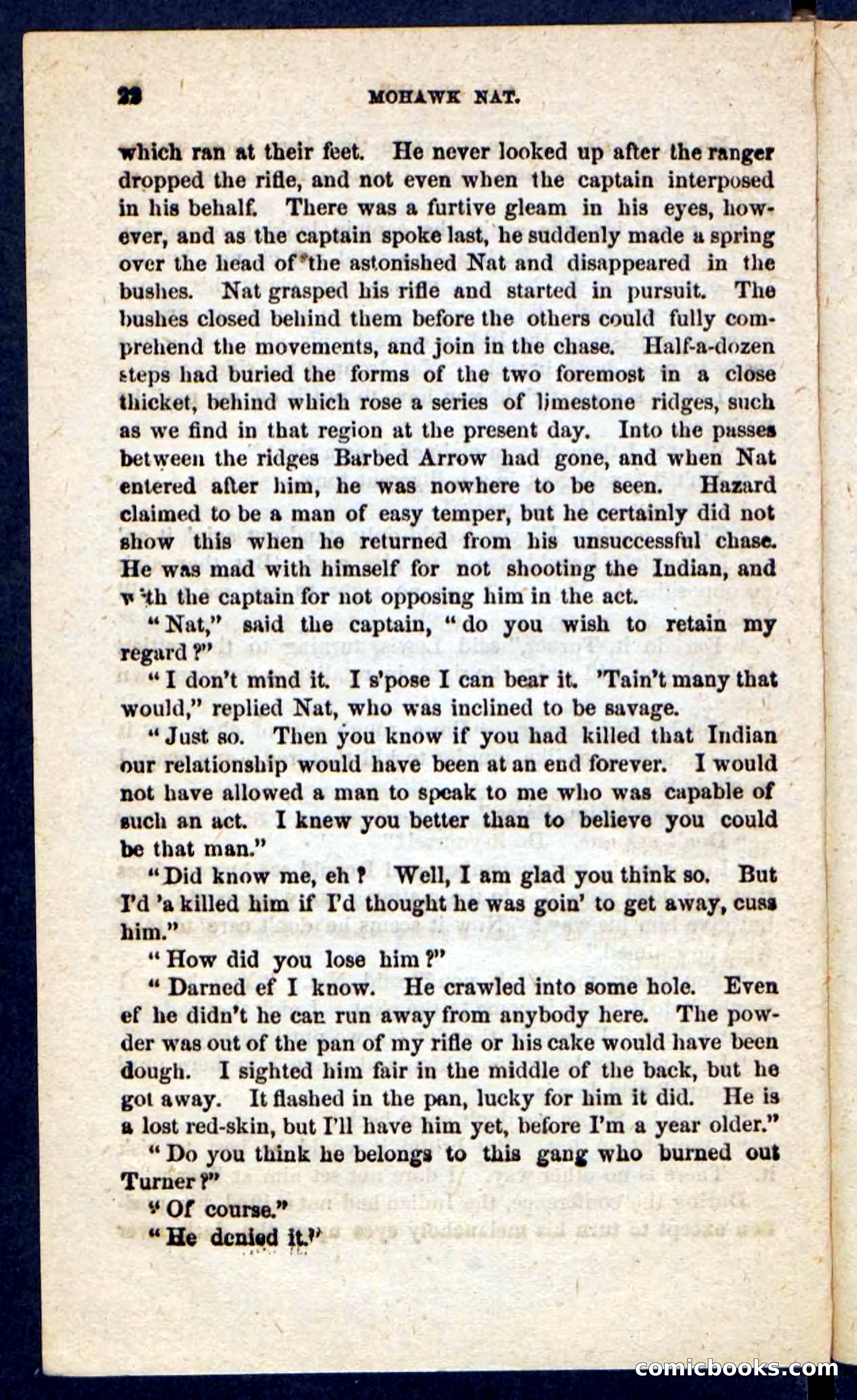 Beadle's Pocket Novels No. 189 — page 18 of 100