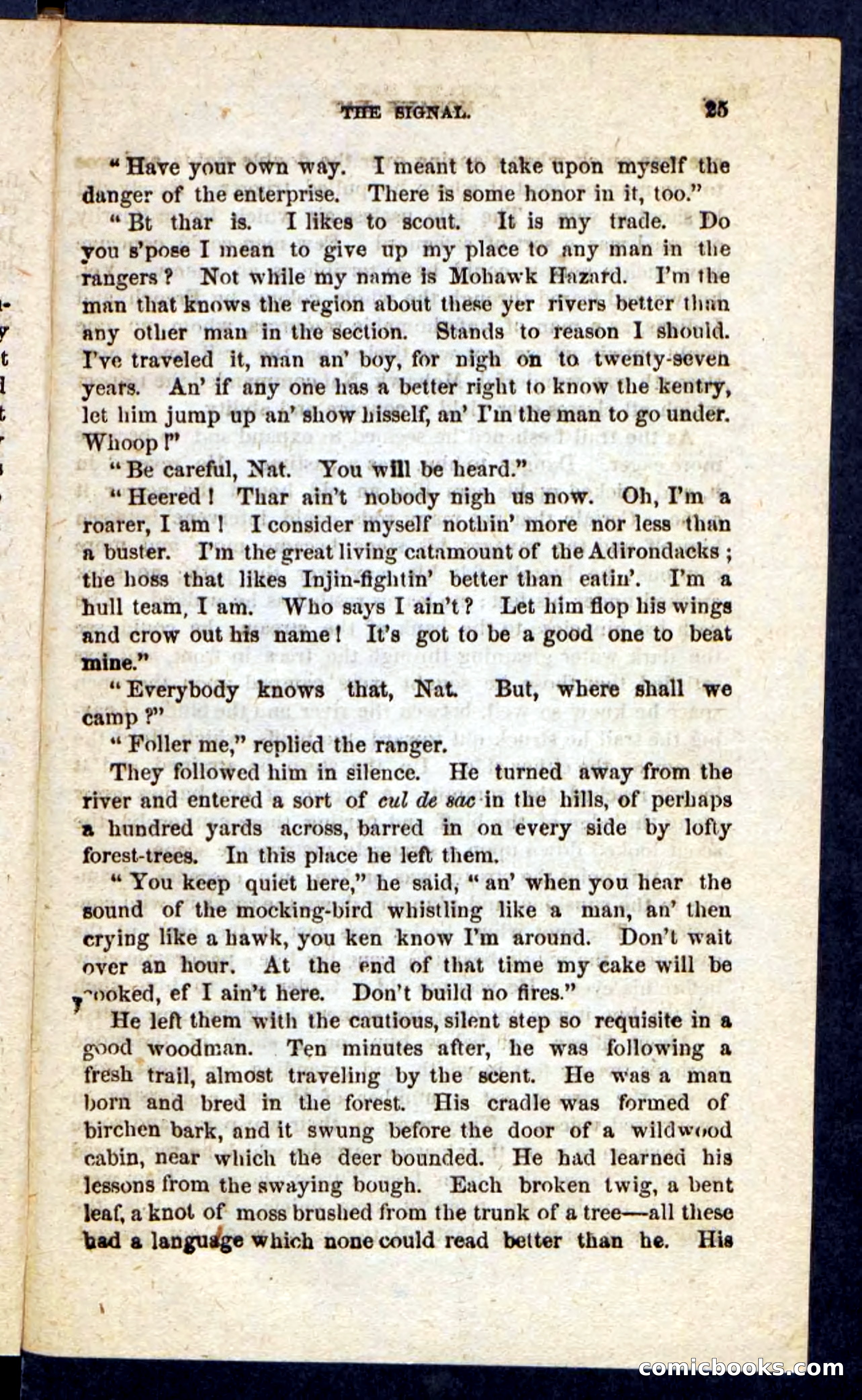 Beadle's Pocket Novels No. 189 — page 21 of 100