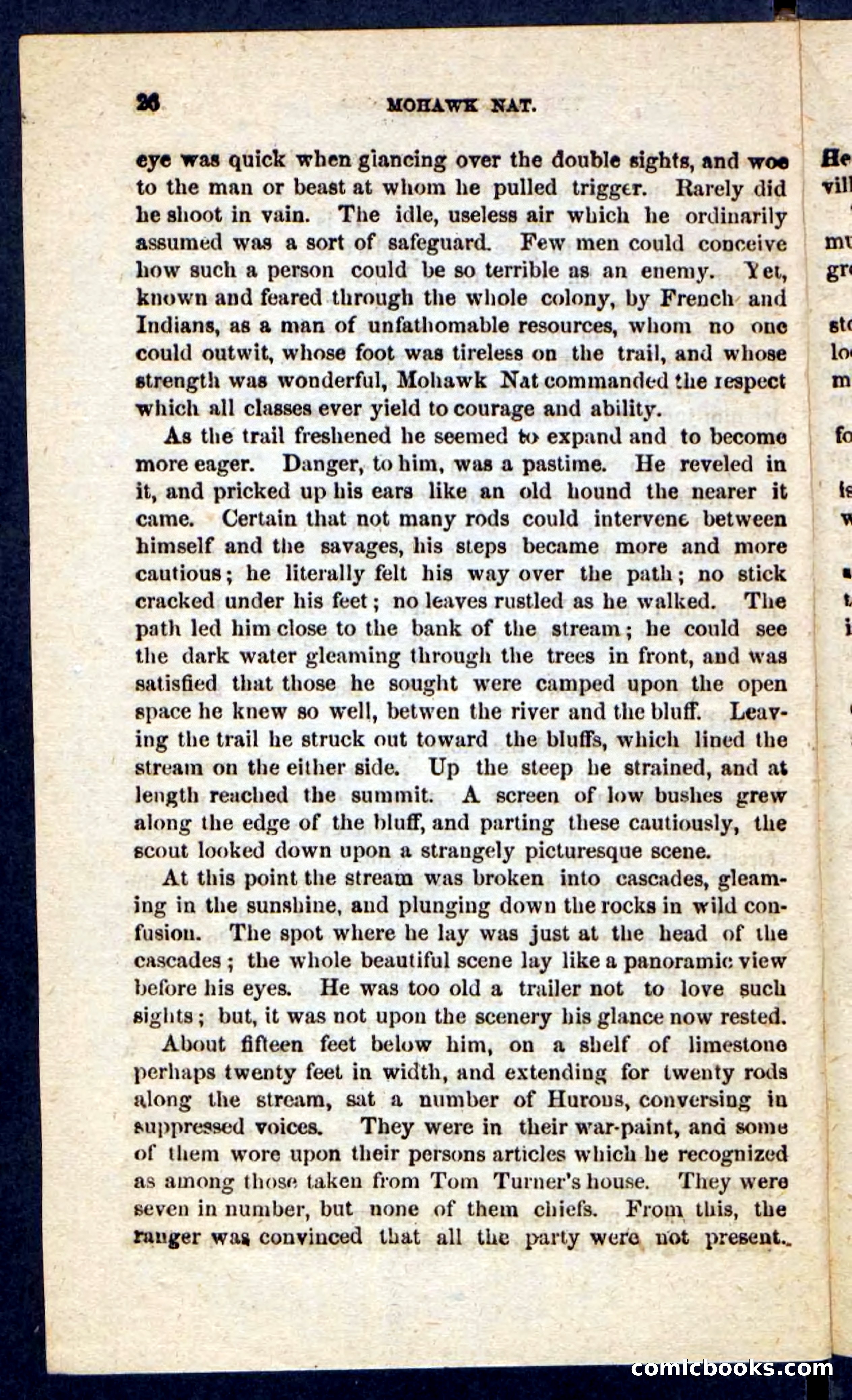 Beadle's Pocket Novels No. 189 — page 22 of 100