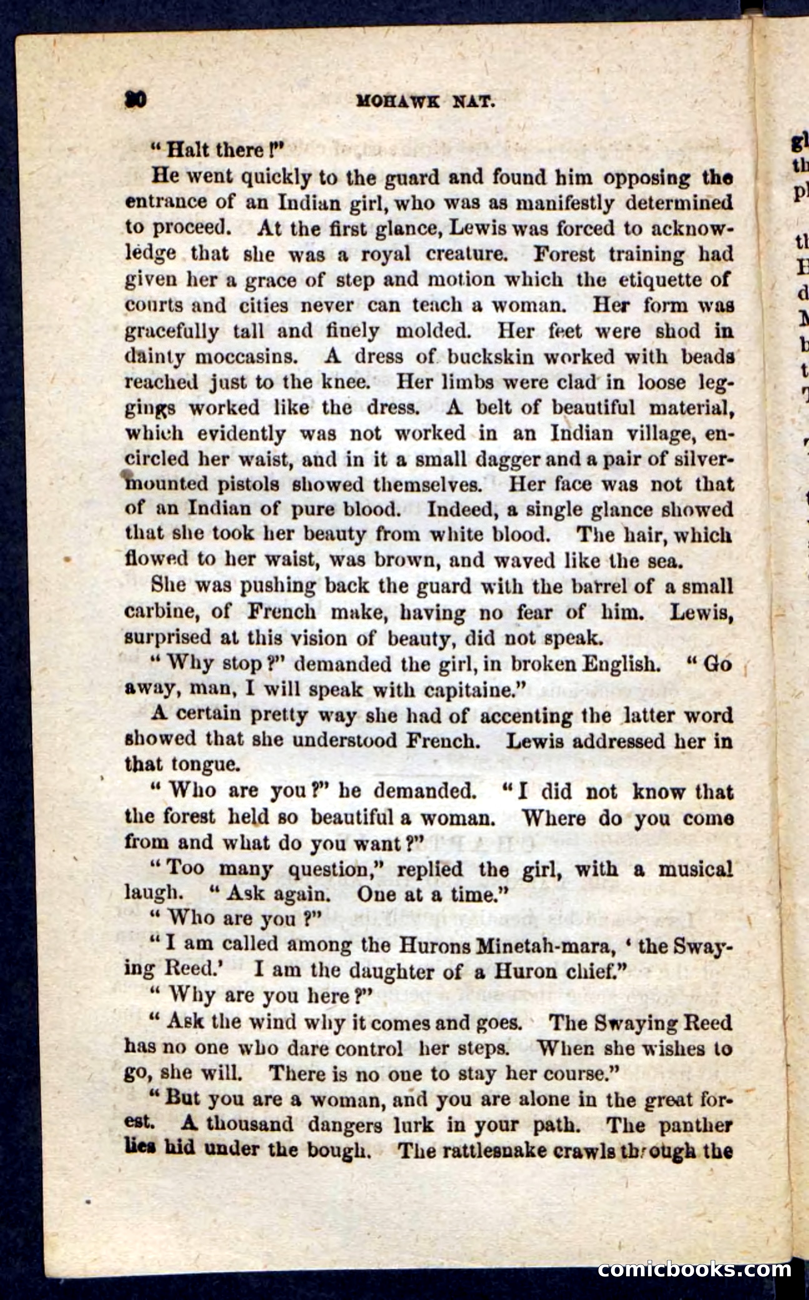 Beadle's Pocket Novels No. 189 — page 26 of 100