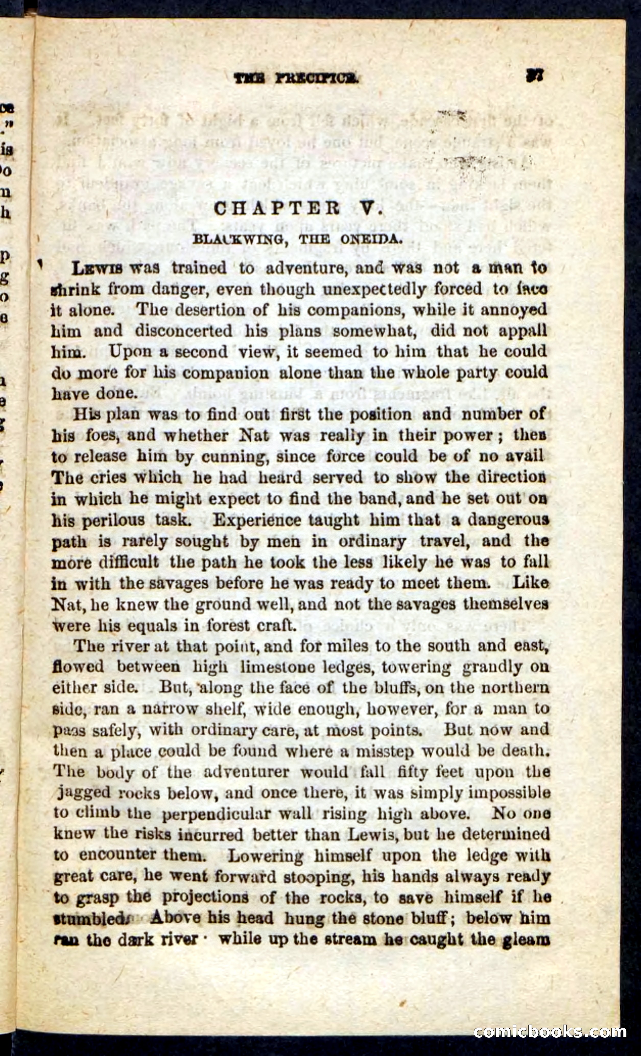 Beadle's Pocket Novels No. 189 — page 33 of 100