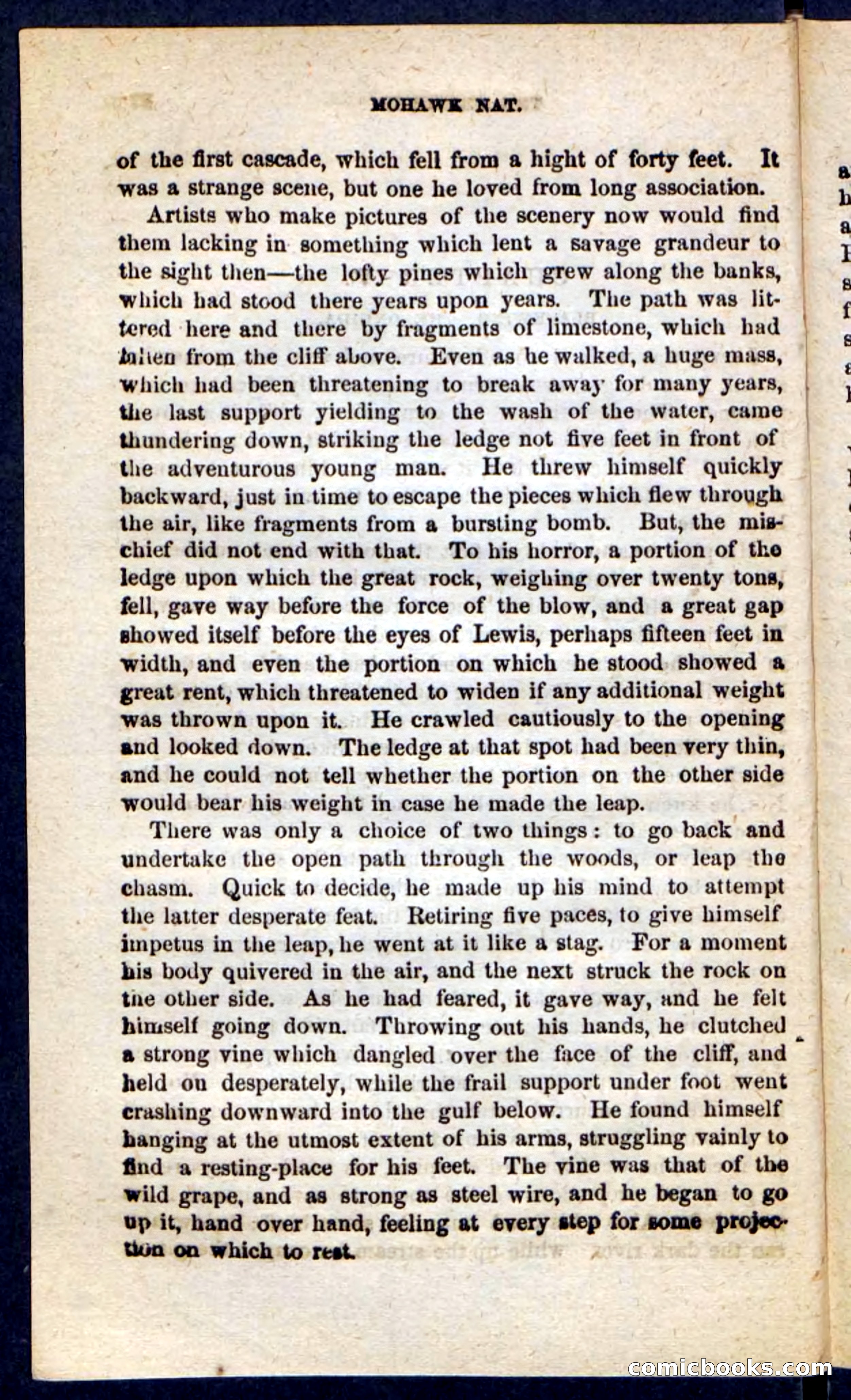 Beadle's Pocket Novels No. 189 — page 34 of 100