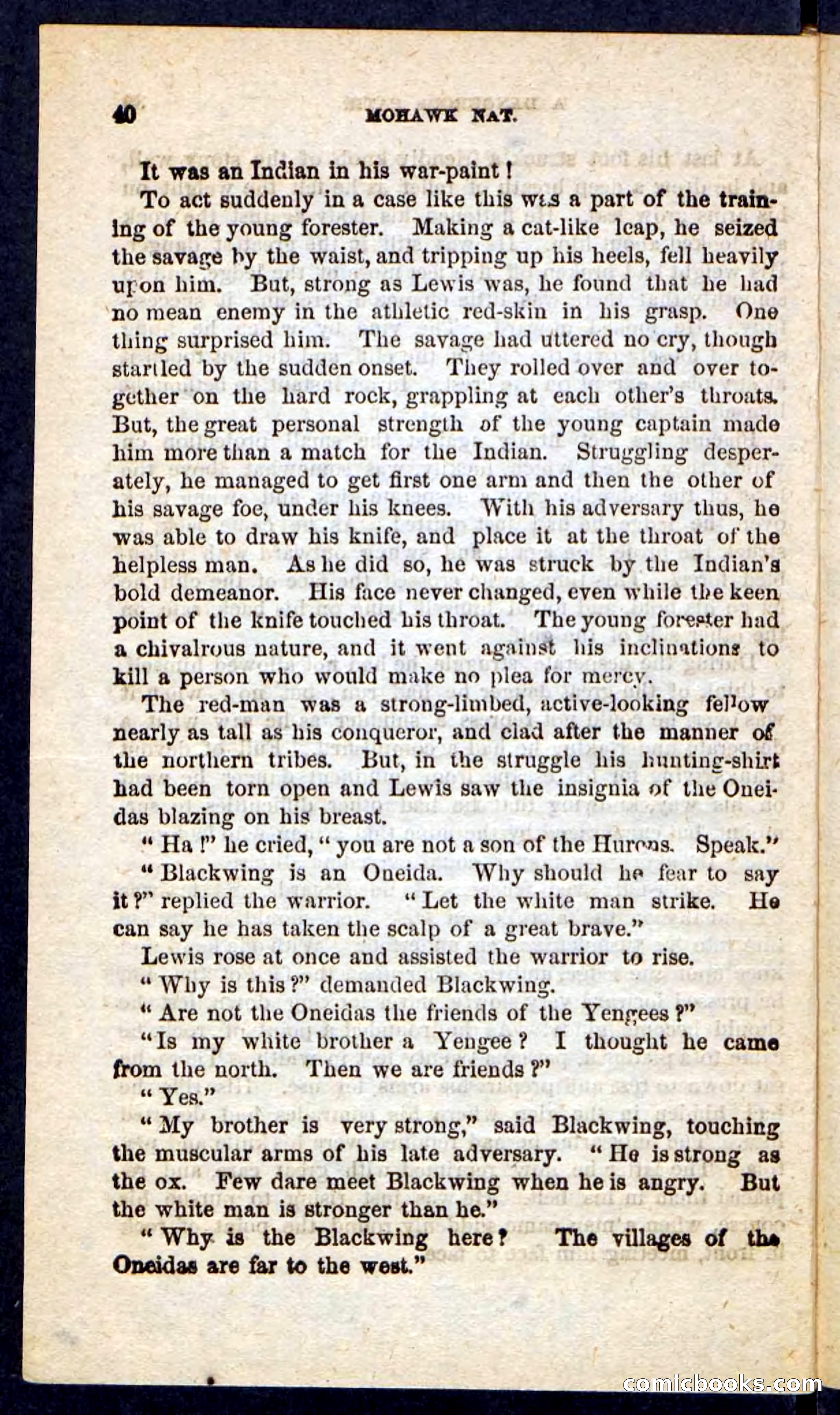 Beadle's Pocket Novels No. 189 — page 36 of 100