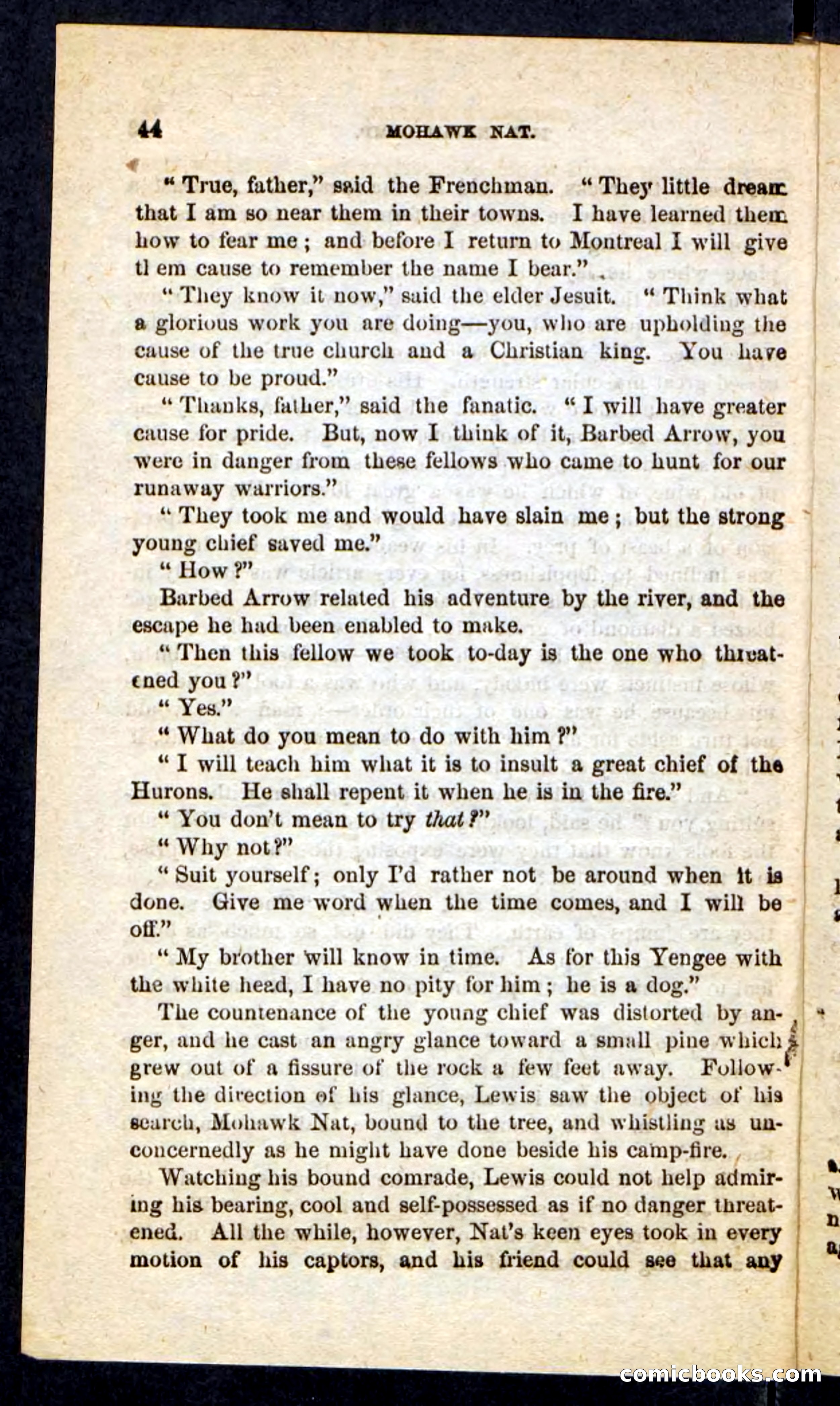 Beadle's Pocket Novels No. 189 — page 40 of 100