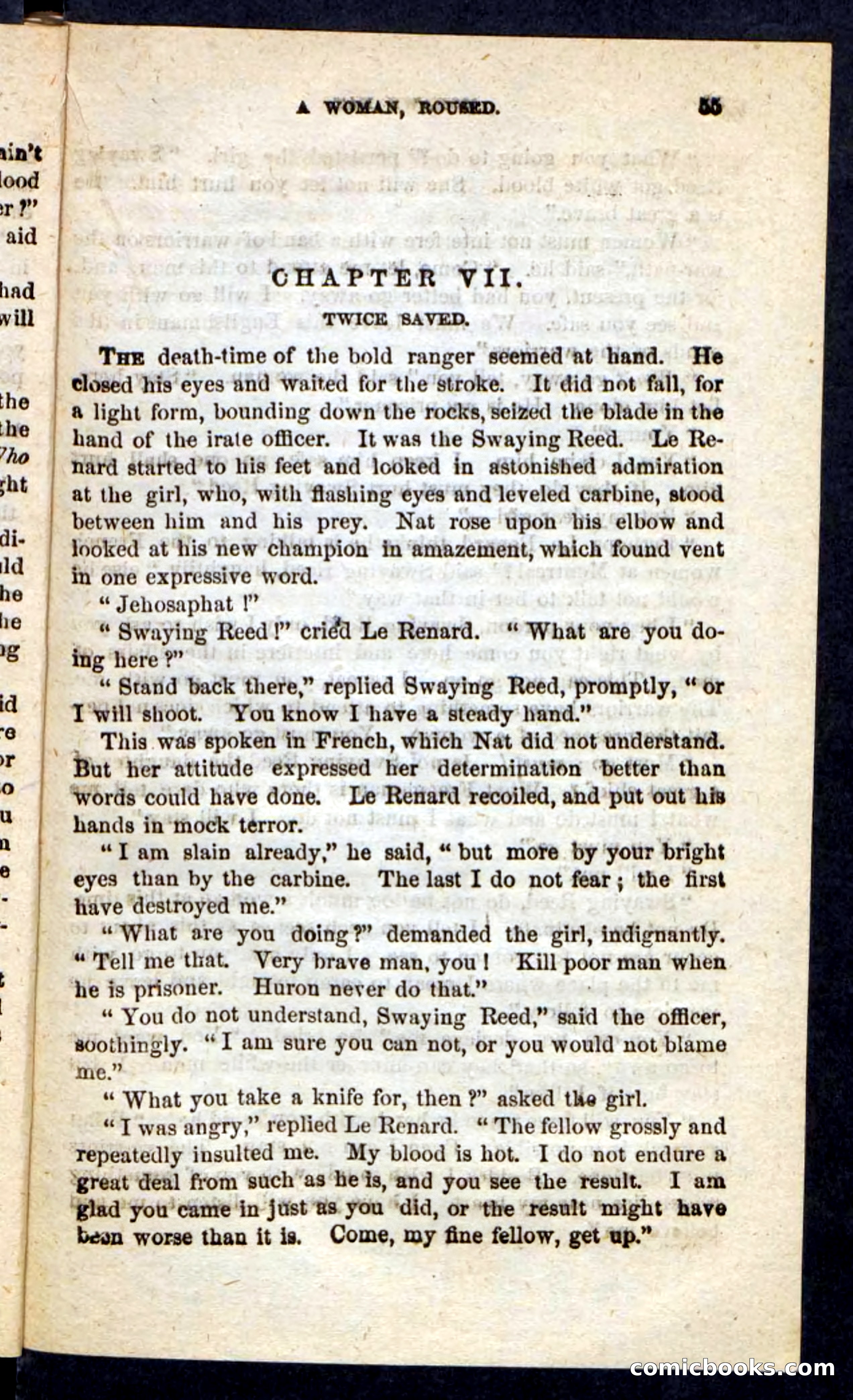Beadle's Pocket Novels No. 189 — page 51 of 100