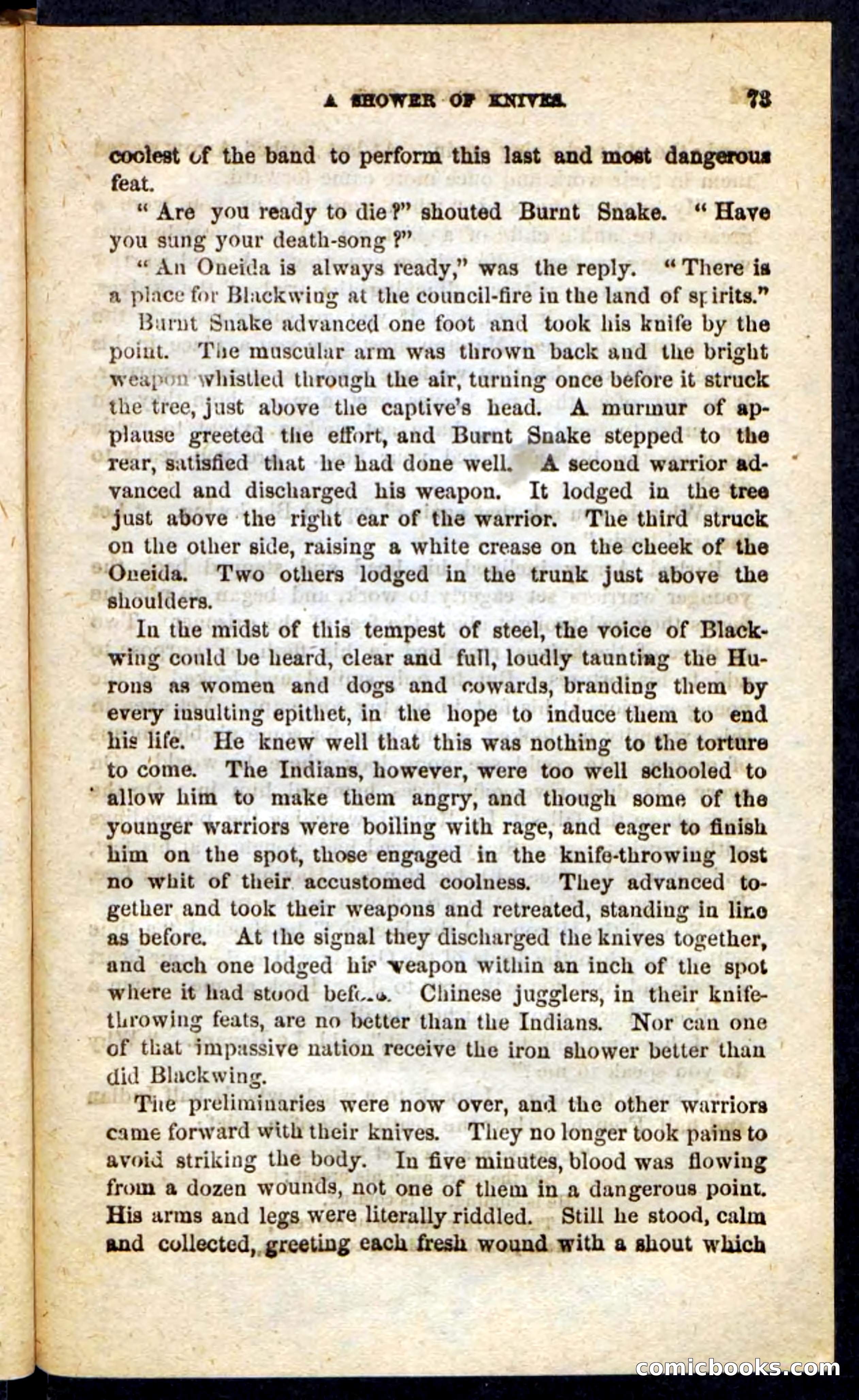 Beadle's Pocket Novels No. 189 — page 69 of 100