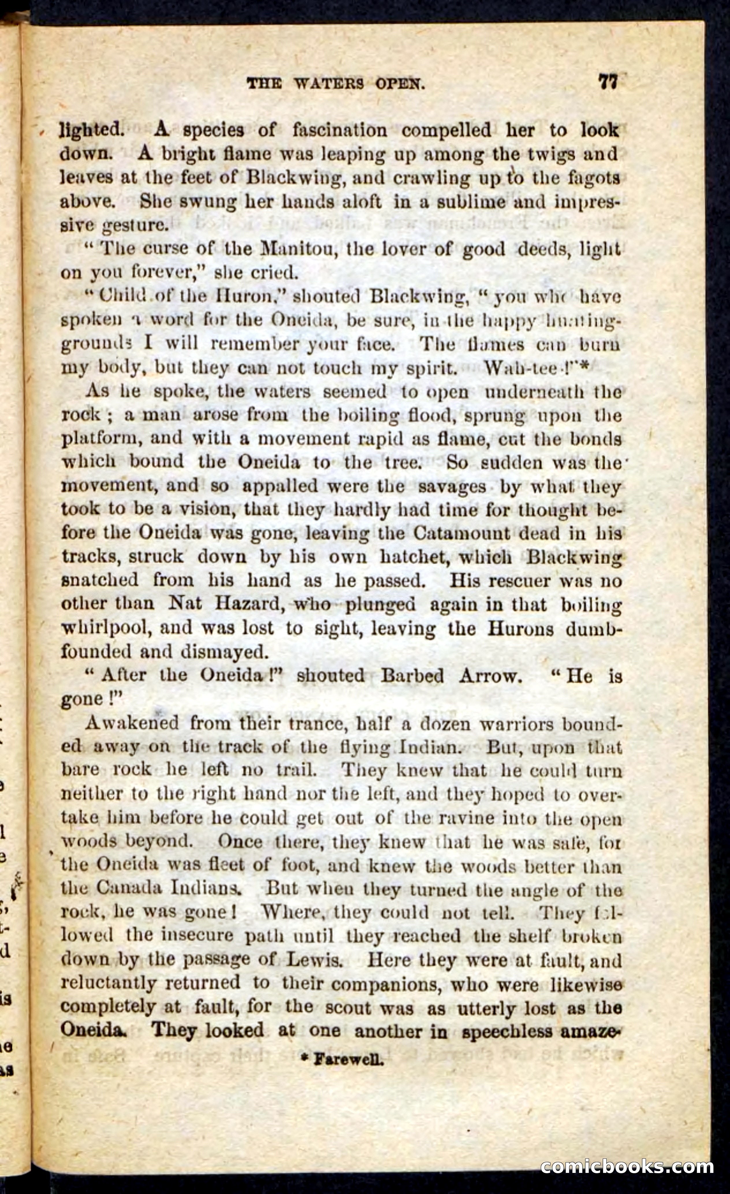 Beadle's Pocket Novels No. 189 — page 73 of 100