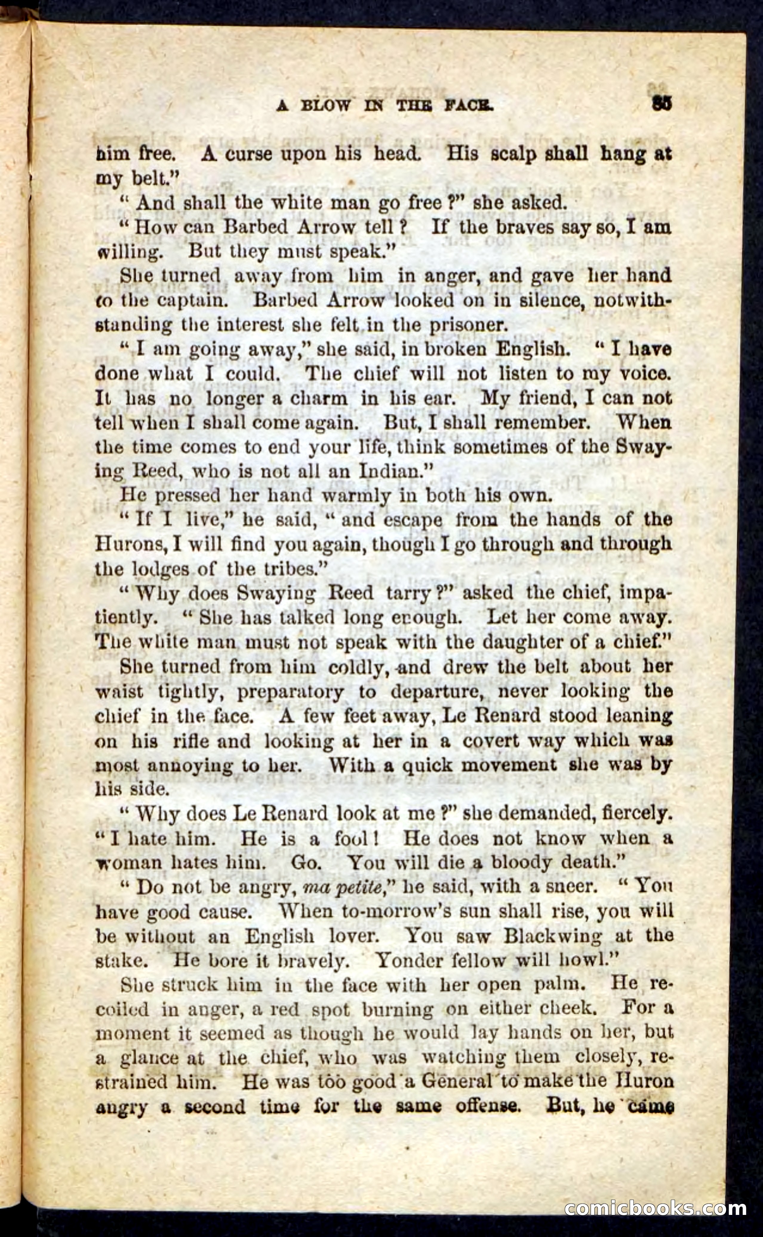 Beadle's Pocket Novels No. 189 — page 81 of 100