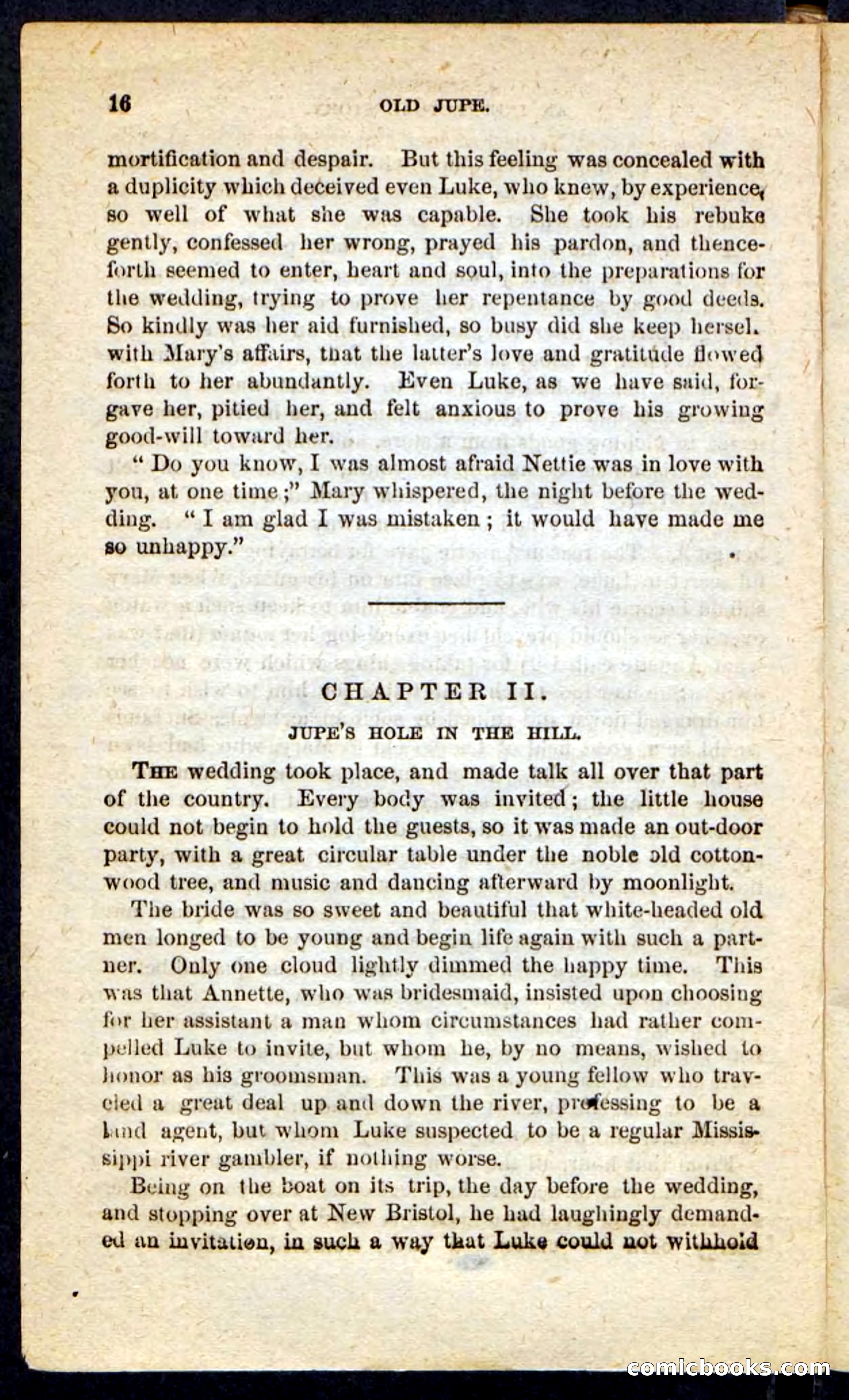 Beadle's Pocket Novels No. 190: Old Jupe — page 12 of 100