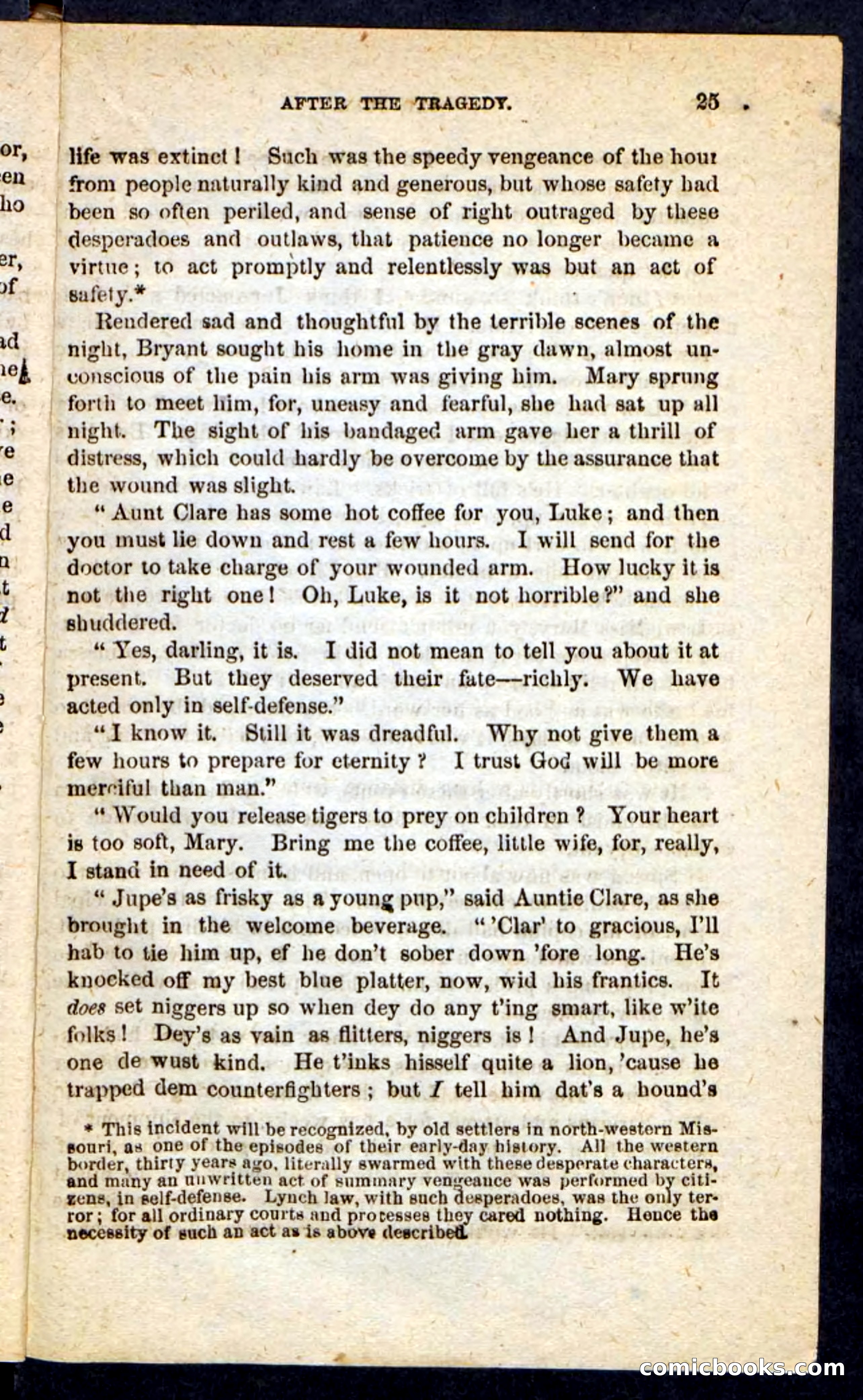 Beadle's Pocket Novels No. 190: Old Jupe — page 21 of 100