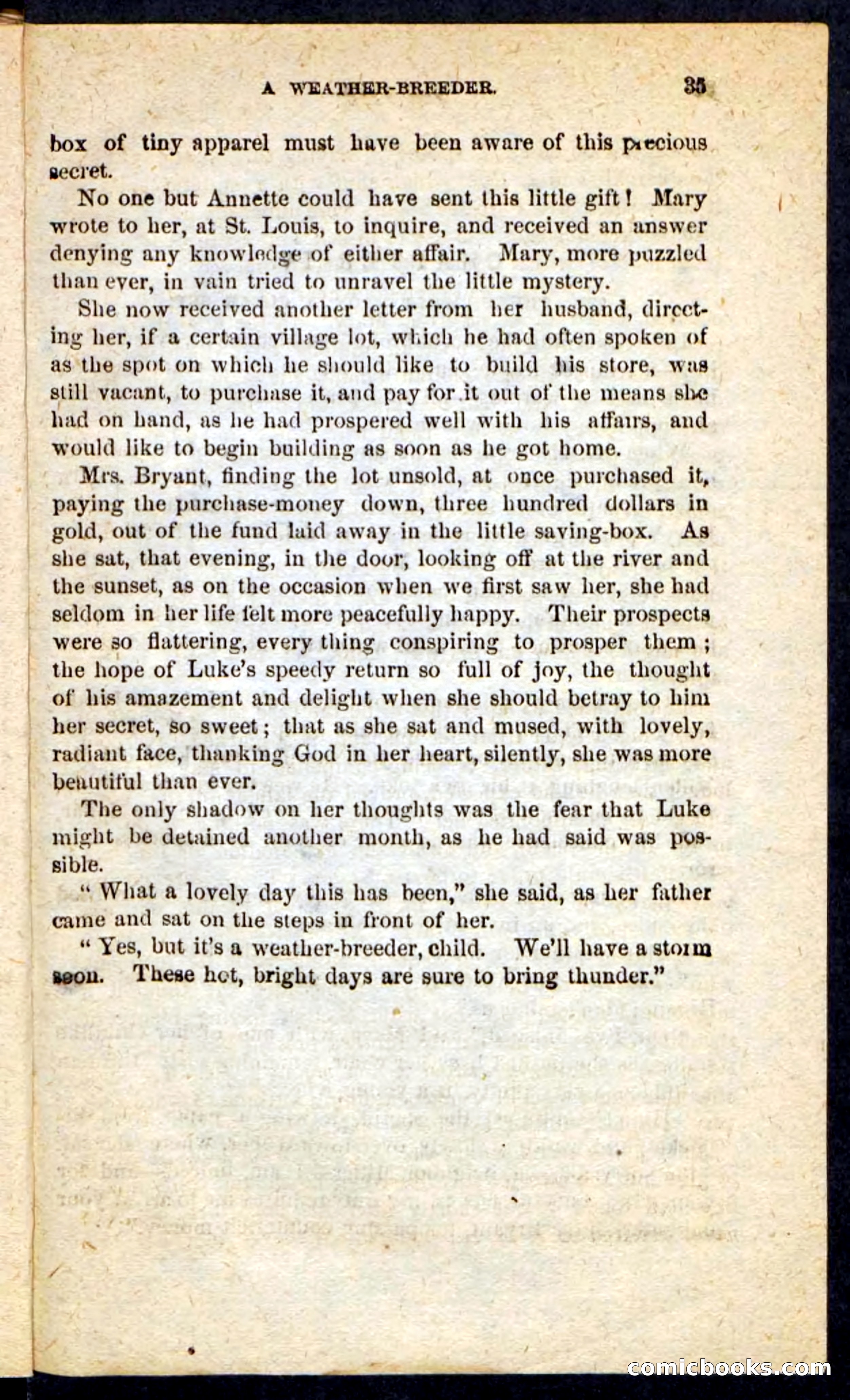 Beadle's Pocket Novels No. 190: Old Jupe — page 31 of 100