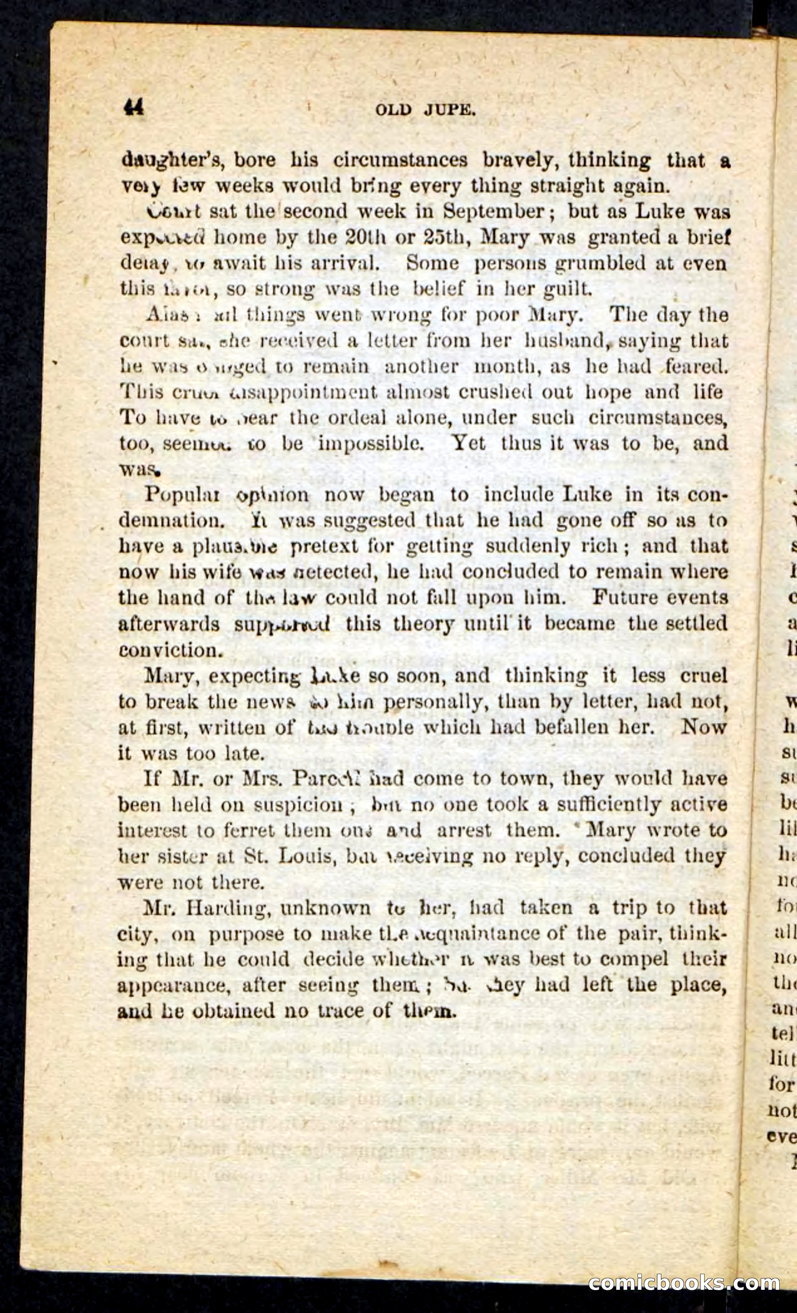 Beadle's Pocket Novels No. 190: Old Jupe — page 40 of 100