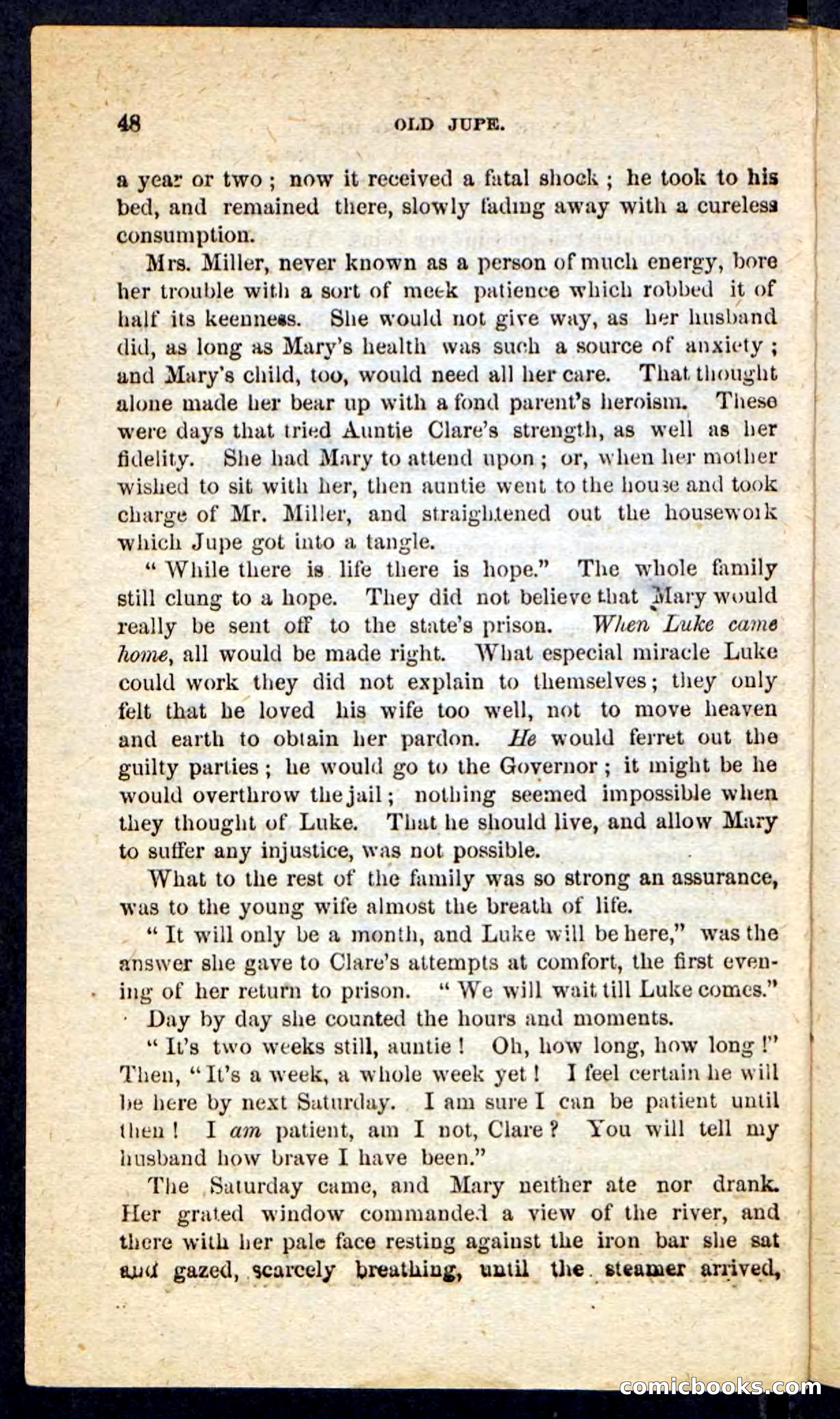 Beadle's Pocket Novels No. 190: Old Jupe — page 44 of 100